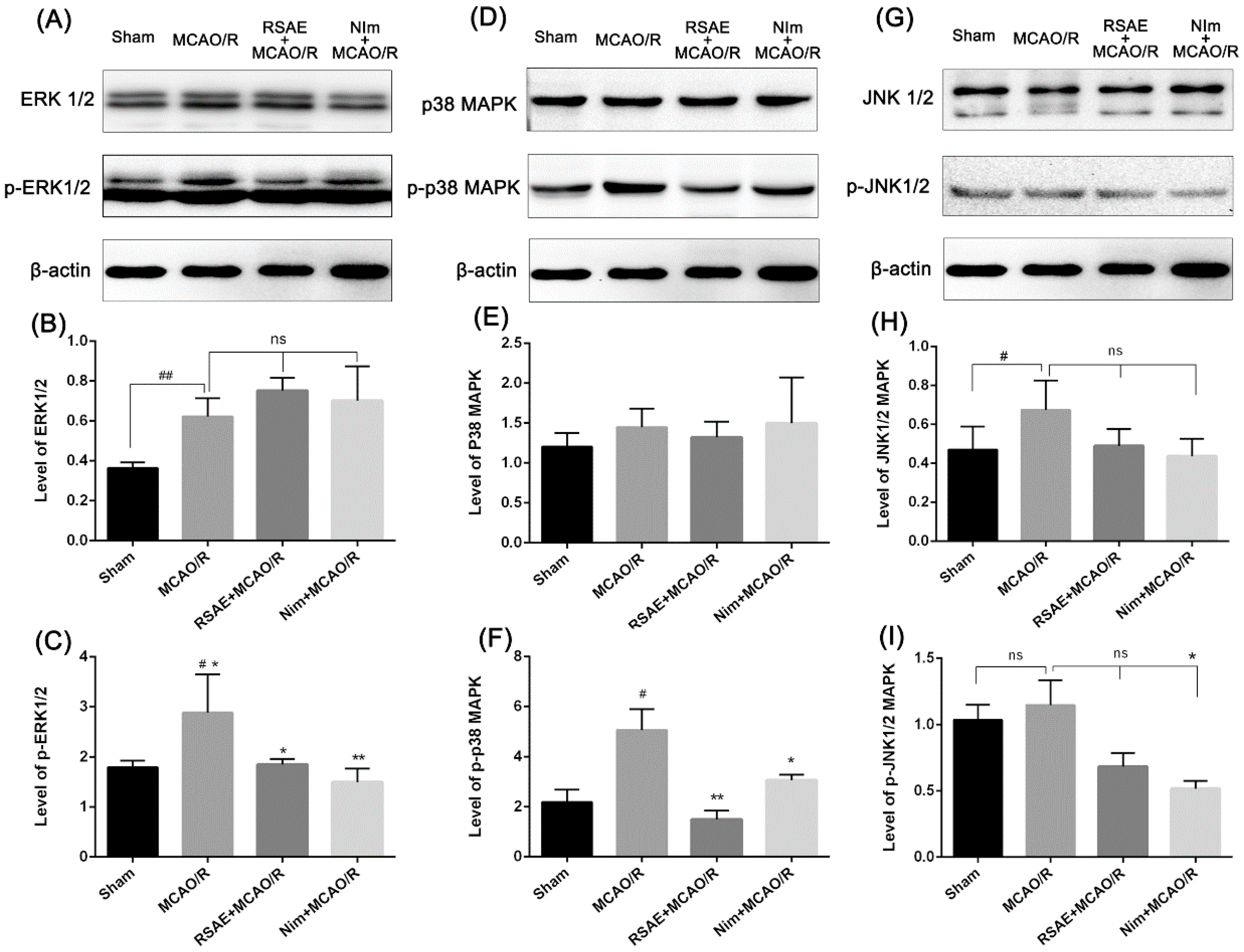 Molecules 23 02401 g008 Molecules 23 02401 g008