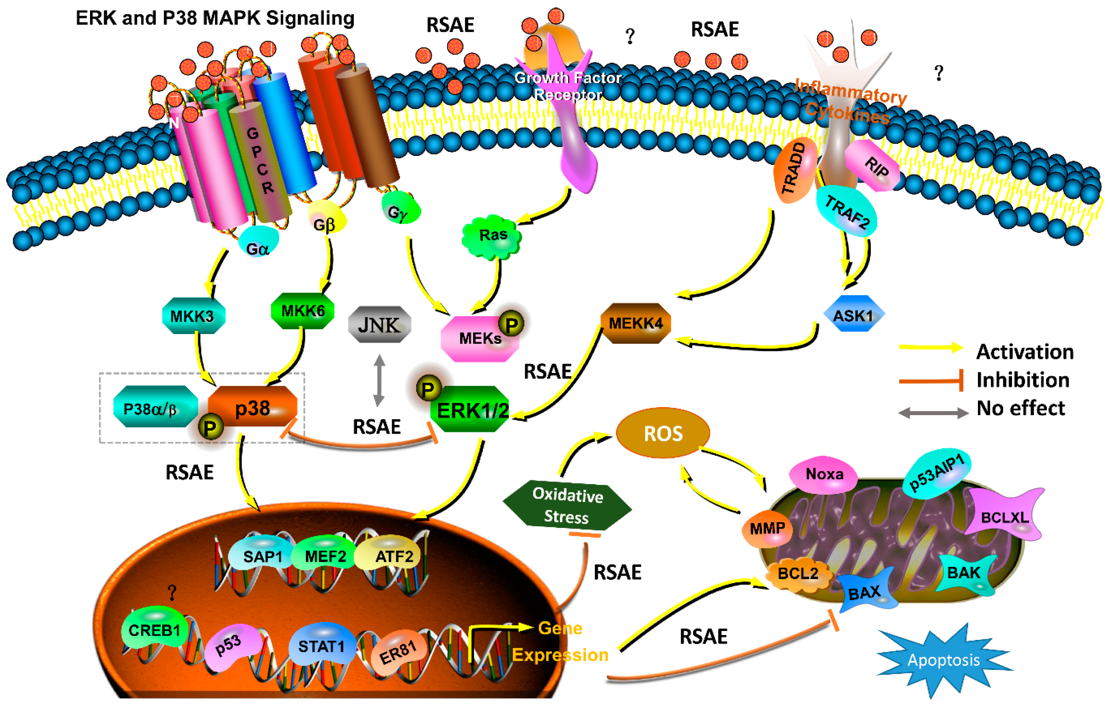 Molecules 23 02401 g009 Molecules 23 02401 g009