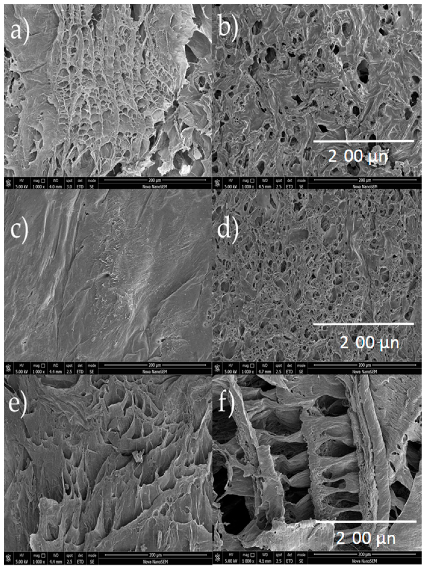 Molecules 23 02414 g006