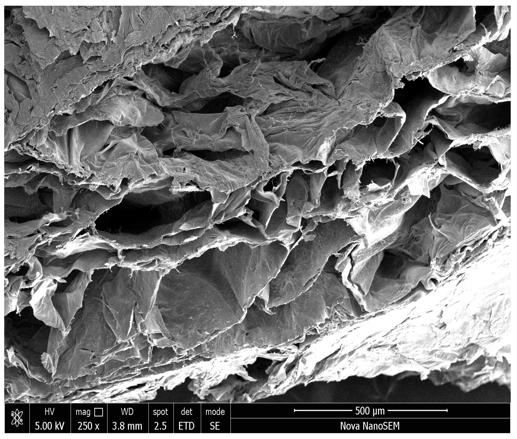 Molecules 23 02414 g007