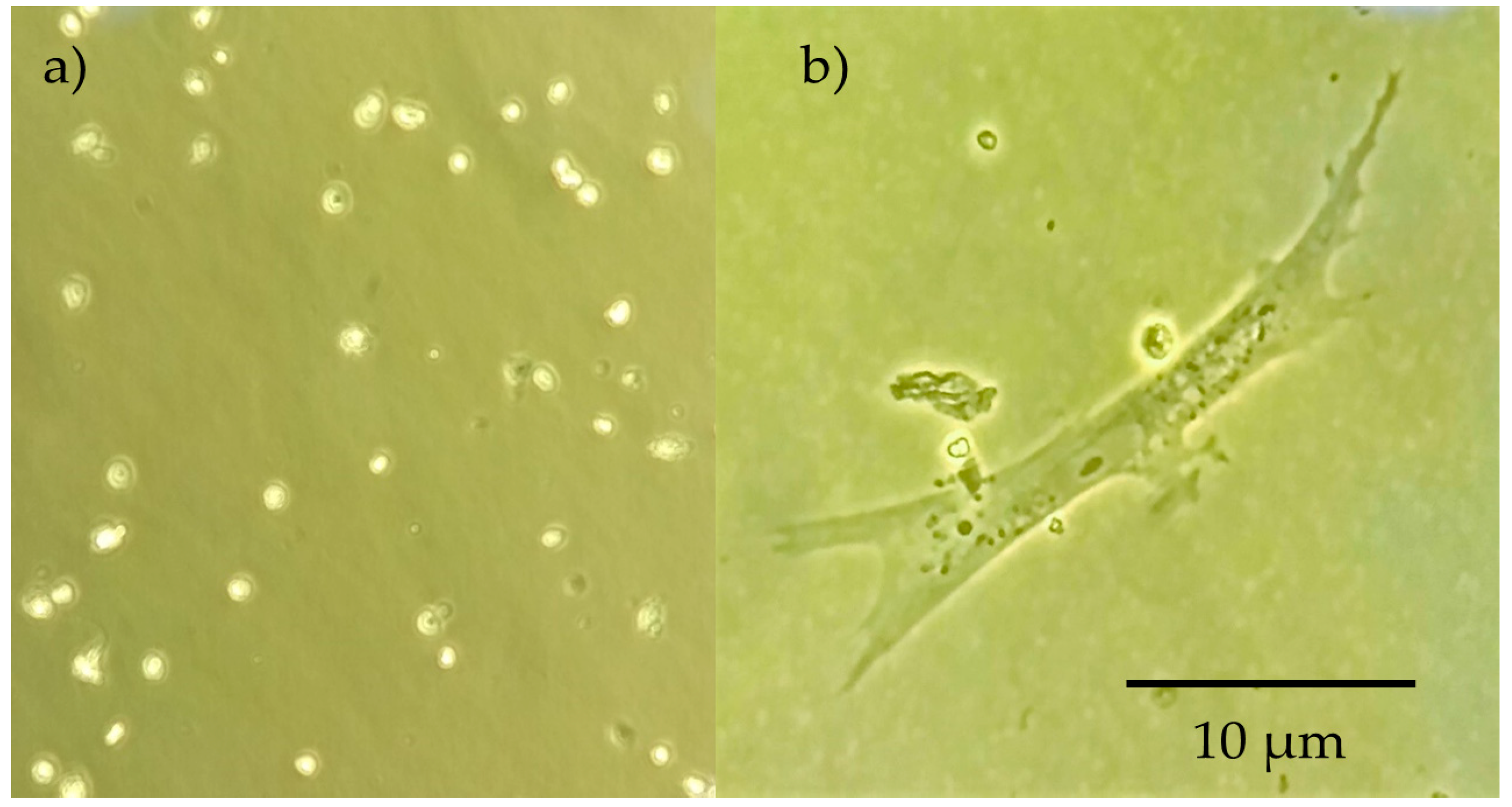 Molecules 23 02414 g008