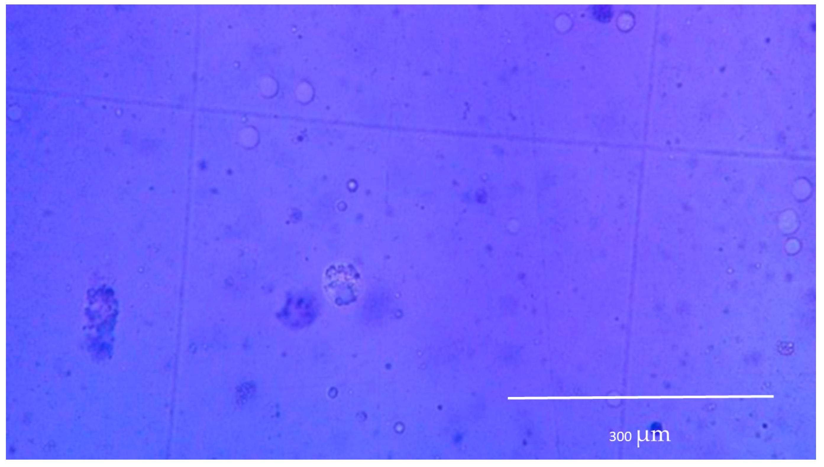Molecules 23 02414 g009