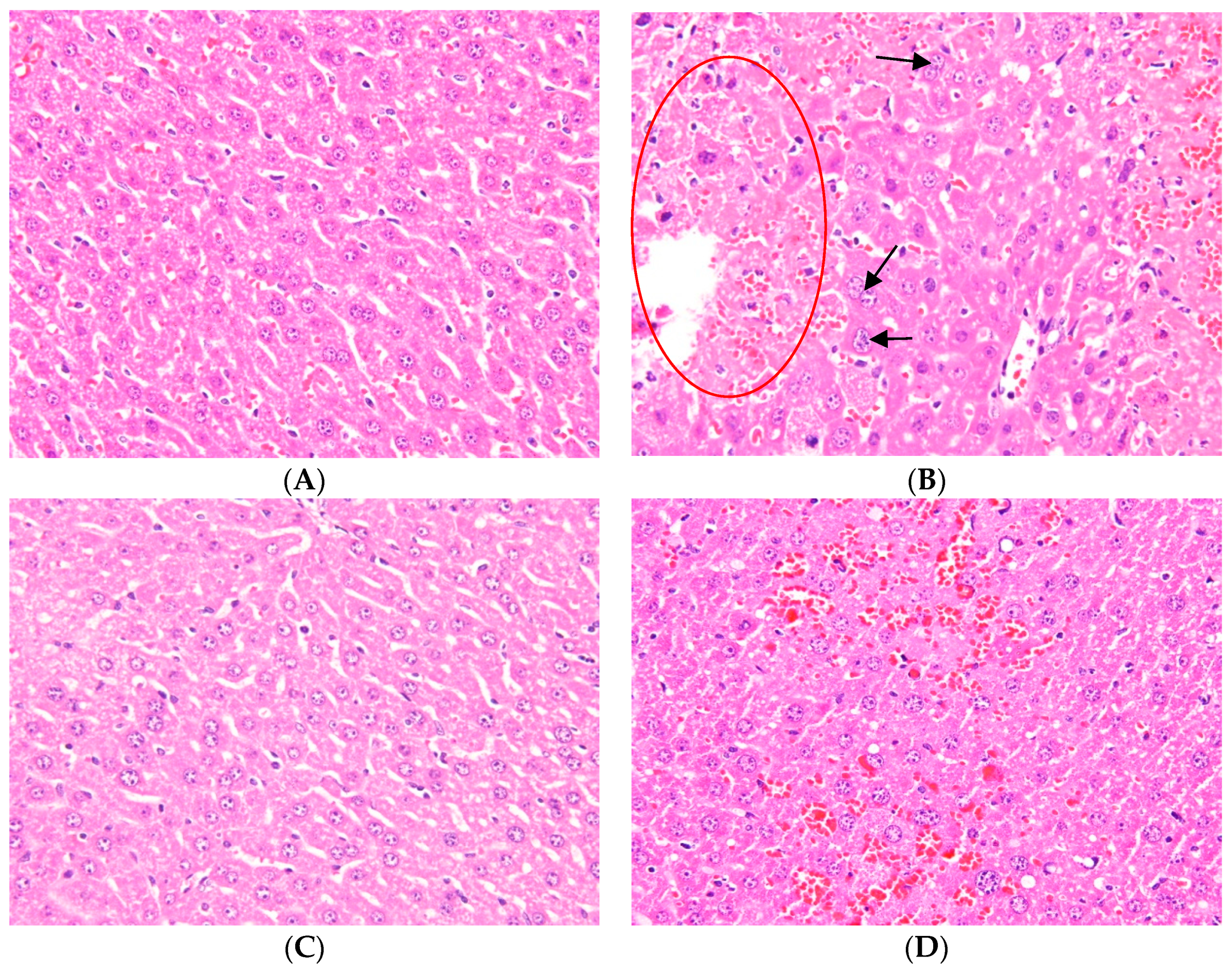 Molecules 23 02420 g002a Molecules 23 02420 g002a