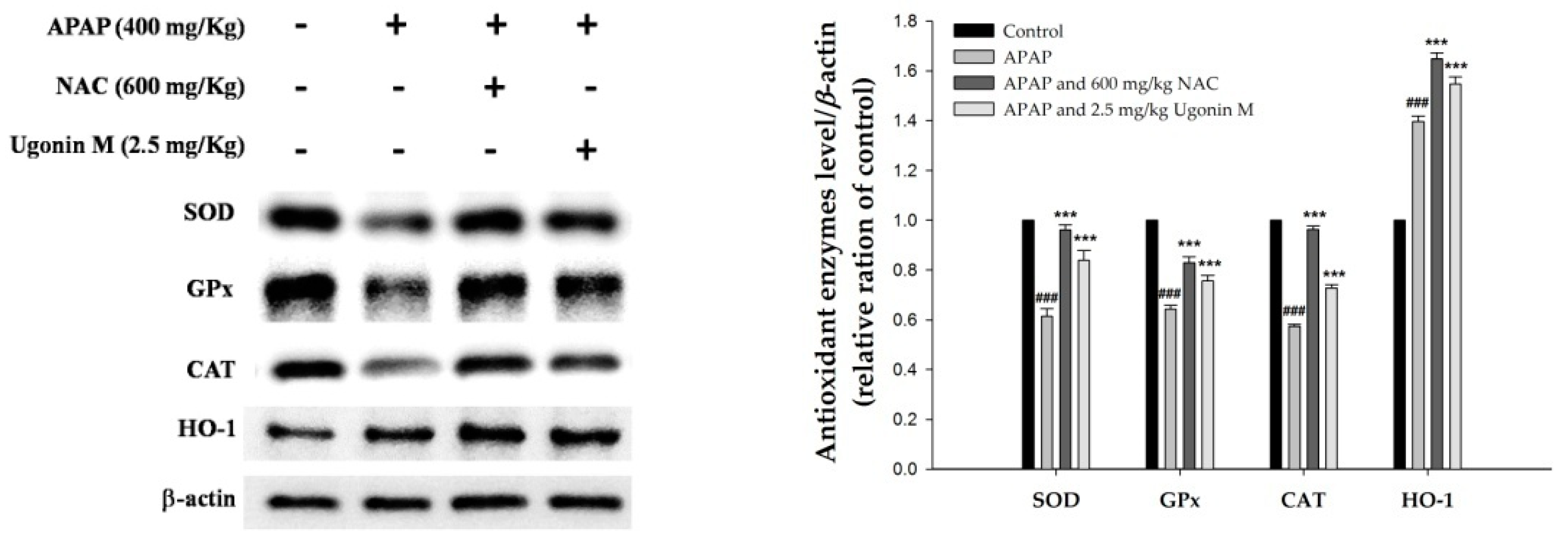 Molecules 23 02420 g005 Molecules 23 02420 g005