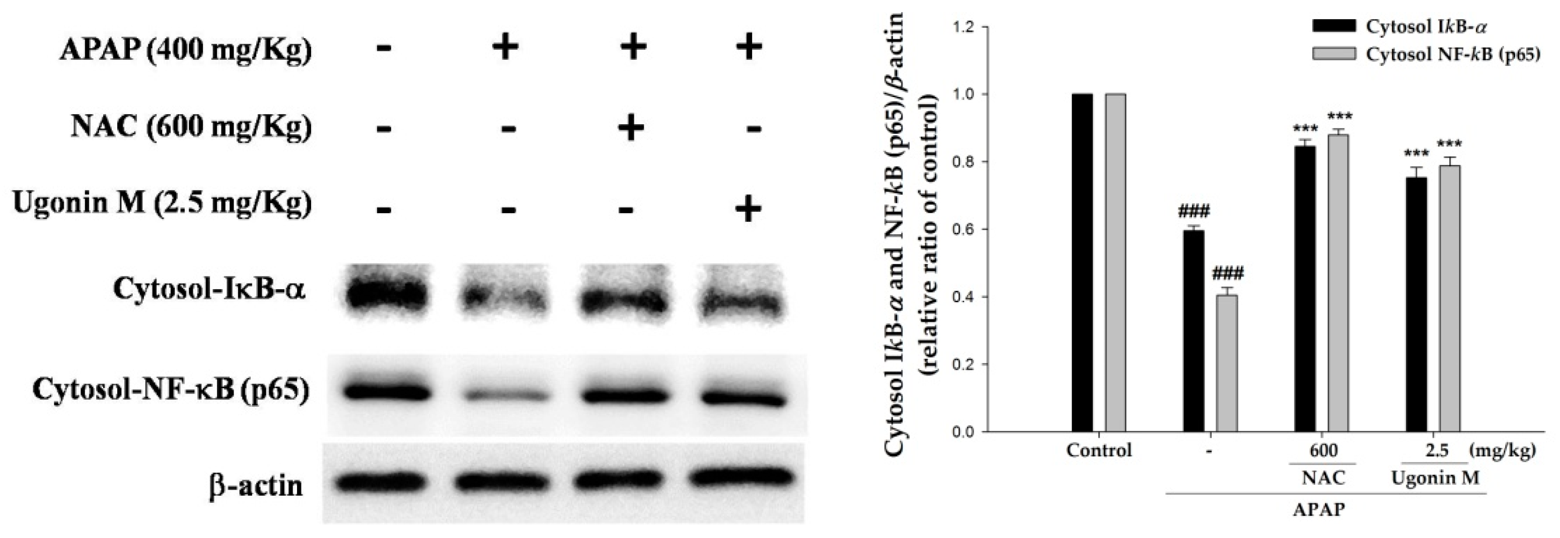 Molecules 23 02420 g008 Molecules 23 02420 g008