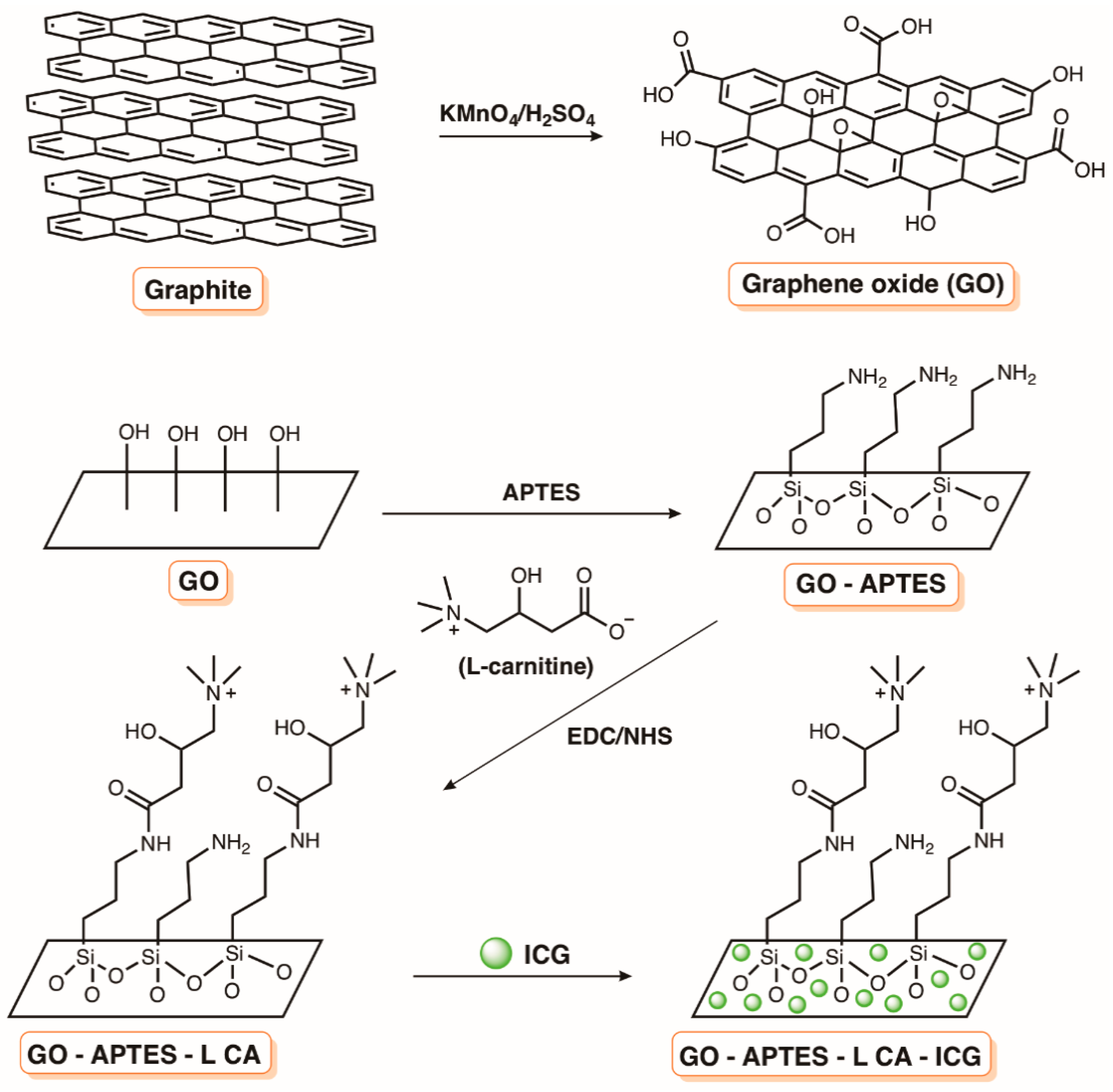 Molecules Free Full Text Revisiting Current Photoactive Materials For Antimicrobial Photodynamic Therapy Html