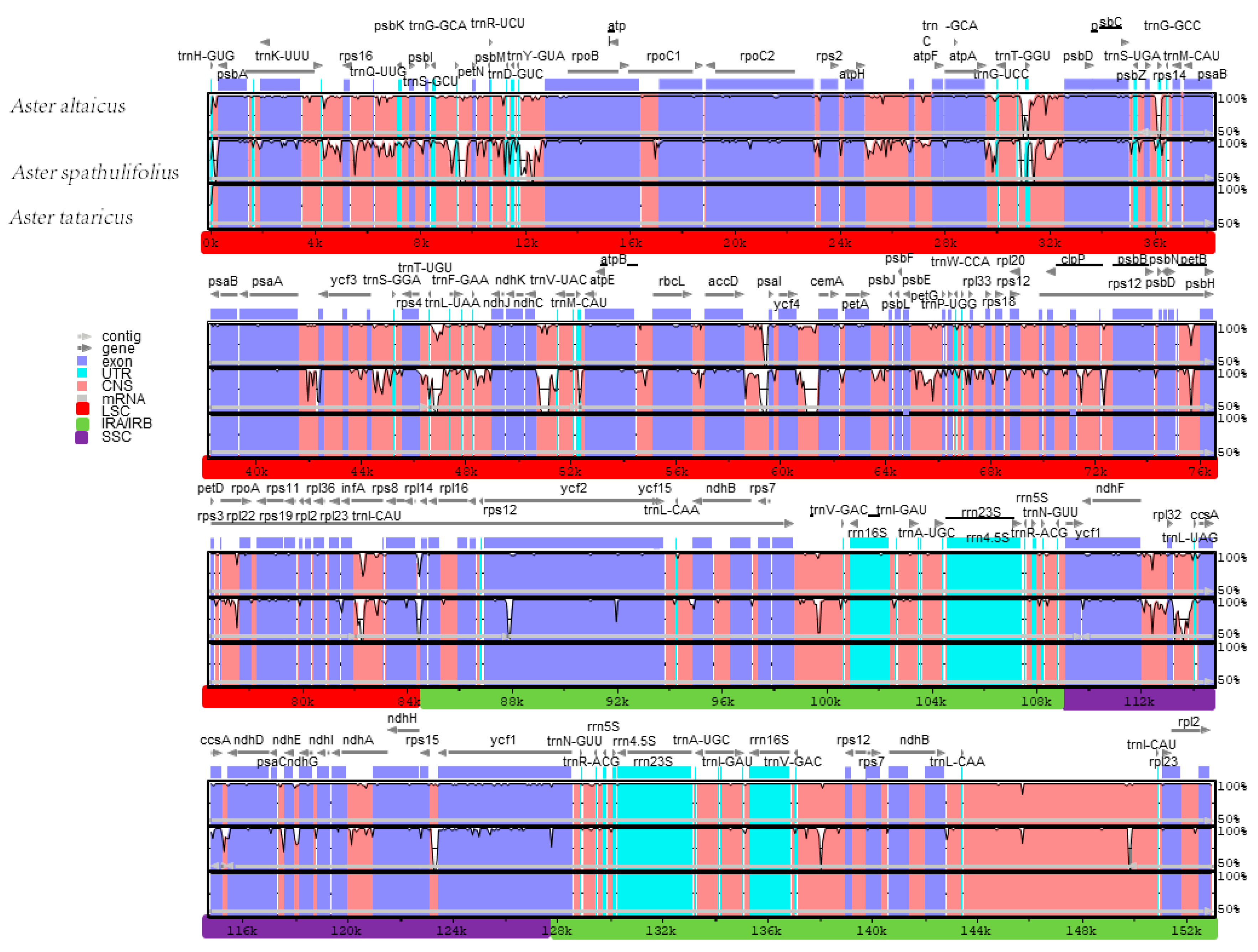 Complete Chloroplast Genome Sequence and Phylogenetic
