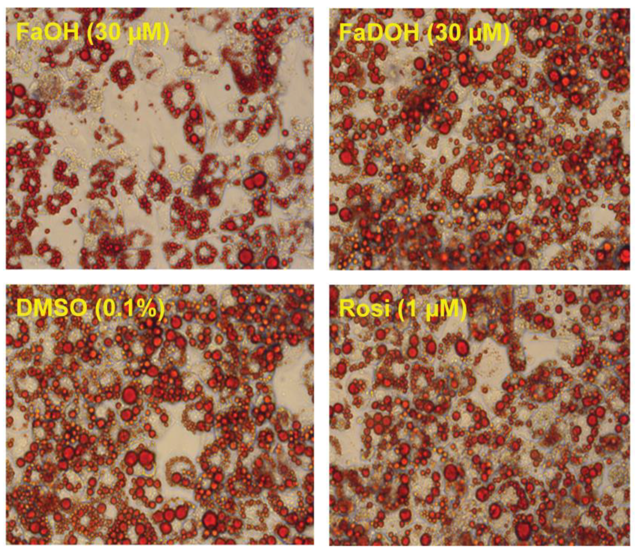 Molecules 23 02431 g007 Molecules 23 02431 g007