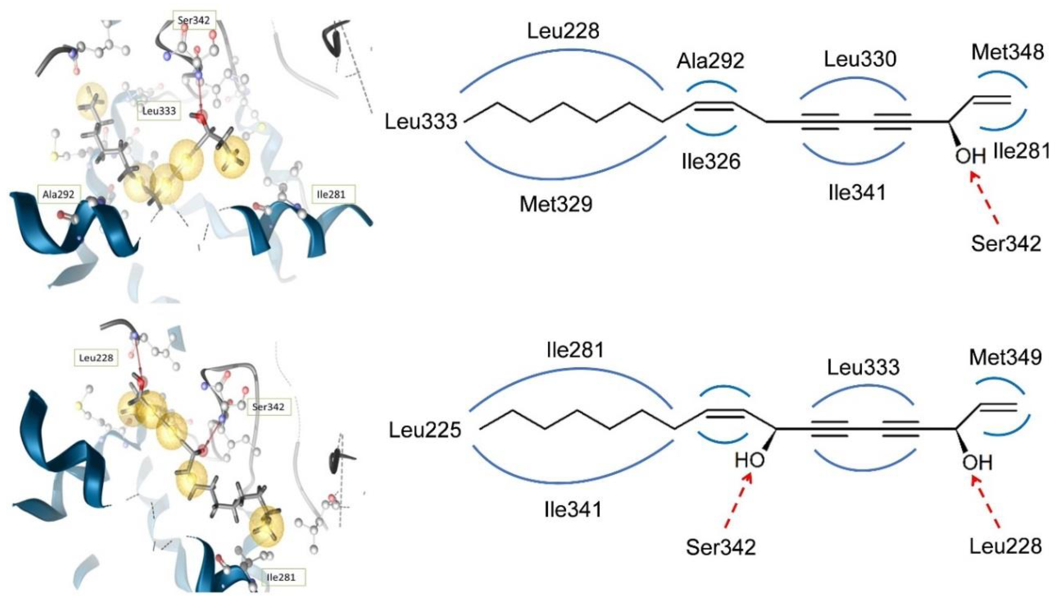 Molecules 23 02431 g010 Molecules 23 02431 g010