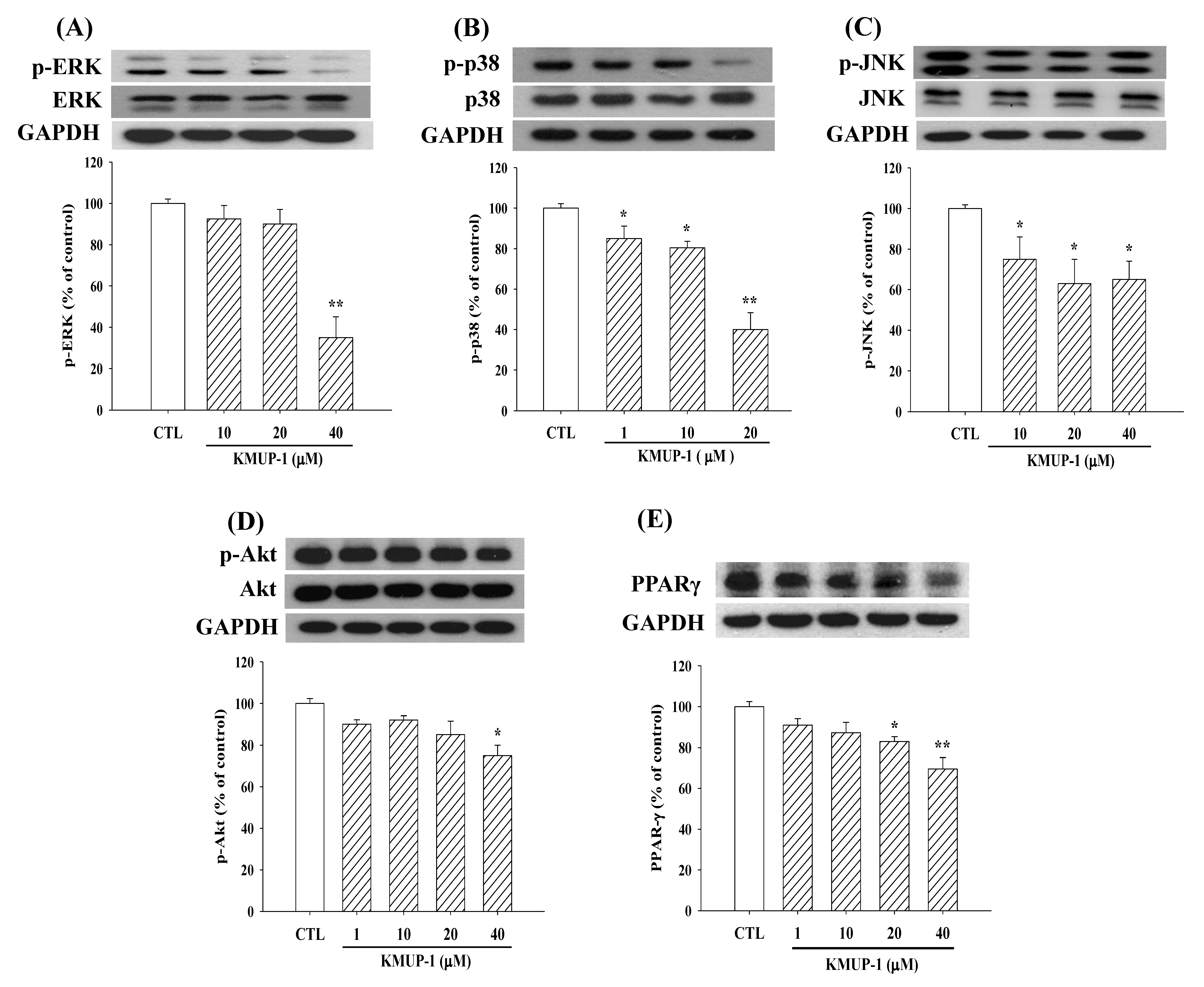 Molecules 23 02433 g003