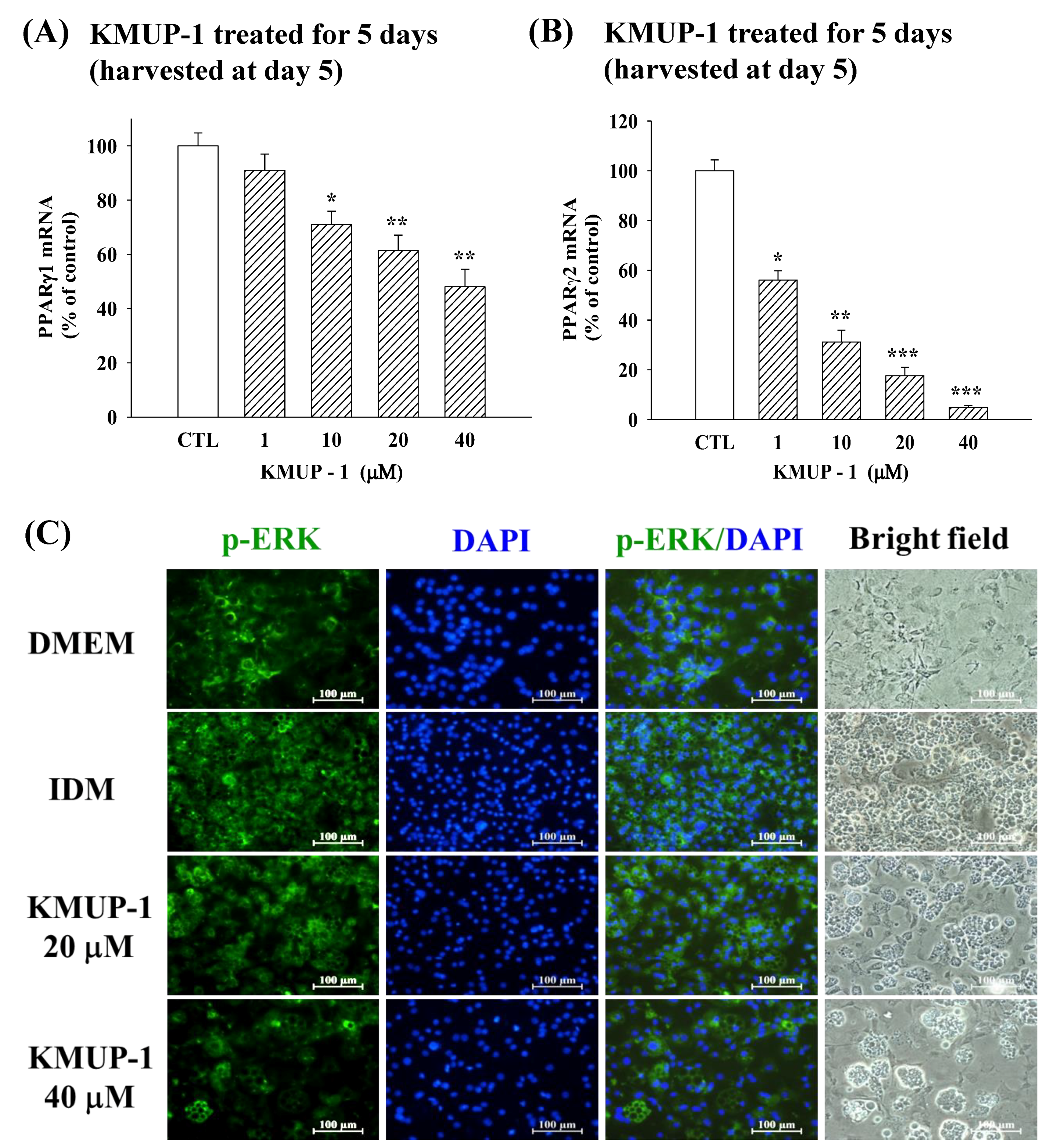 Molecules 23 02433 g004