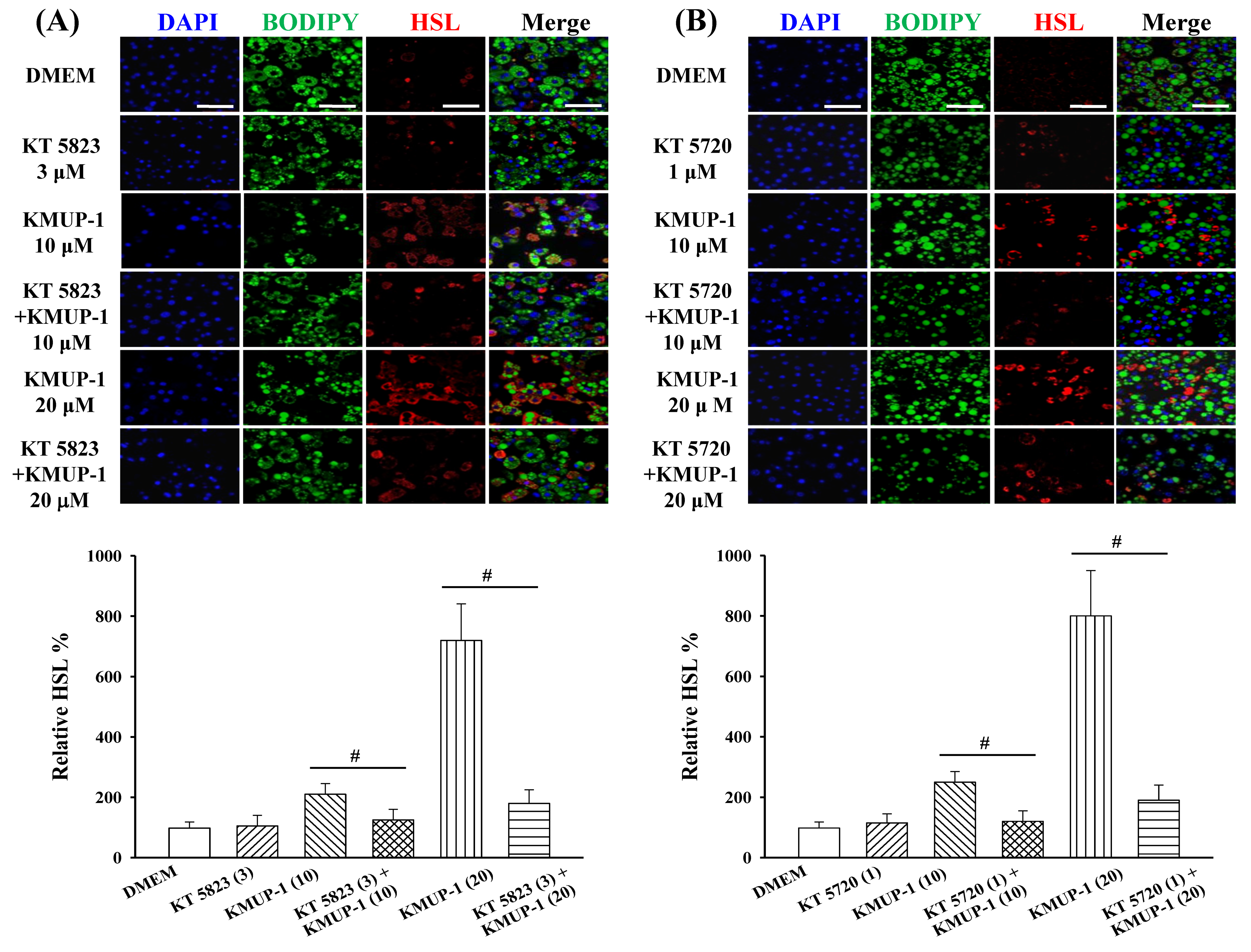 Molecules 23 02433 g005