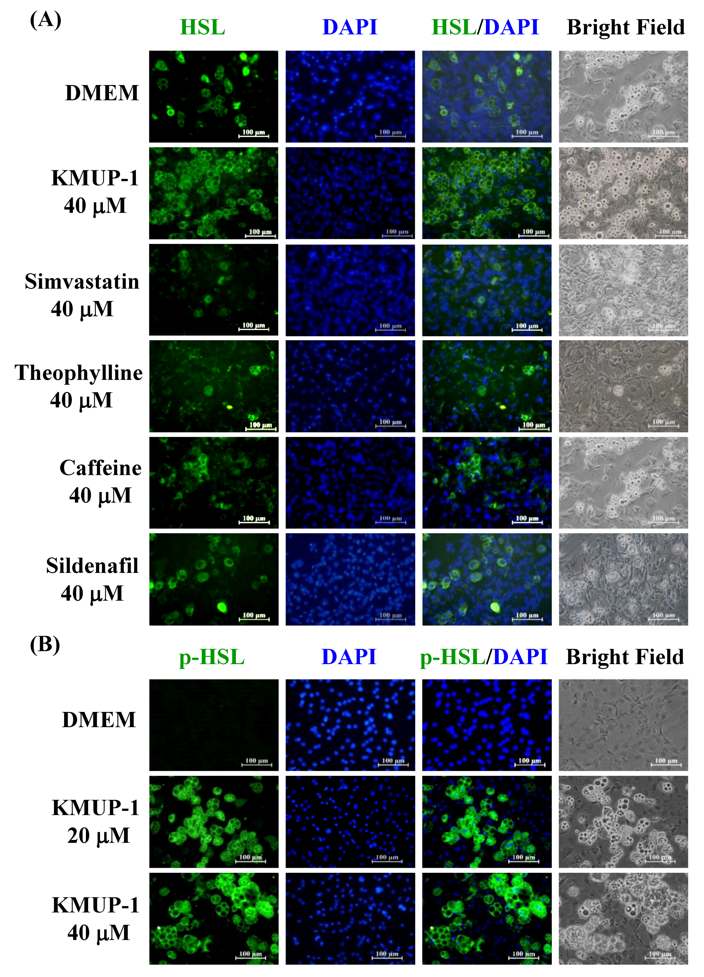 Molecules 23 02433 g006