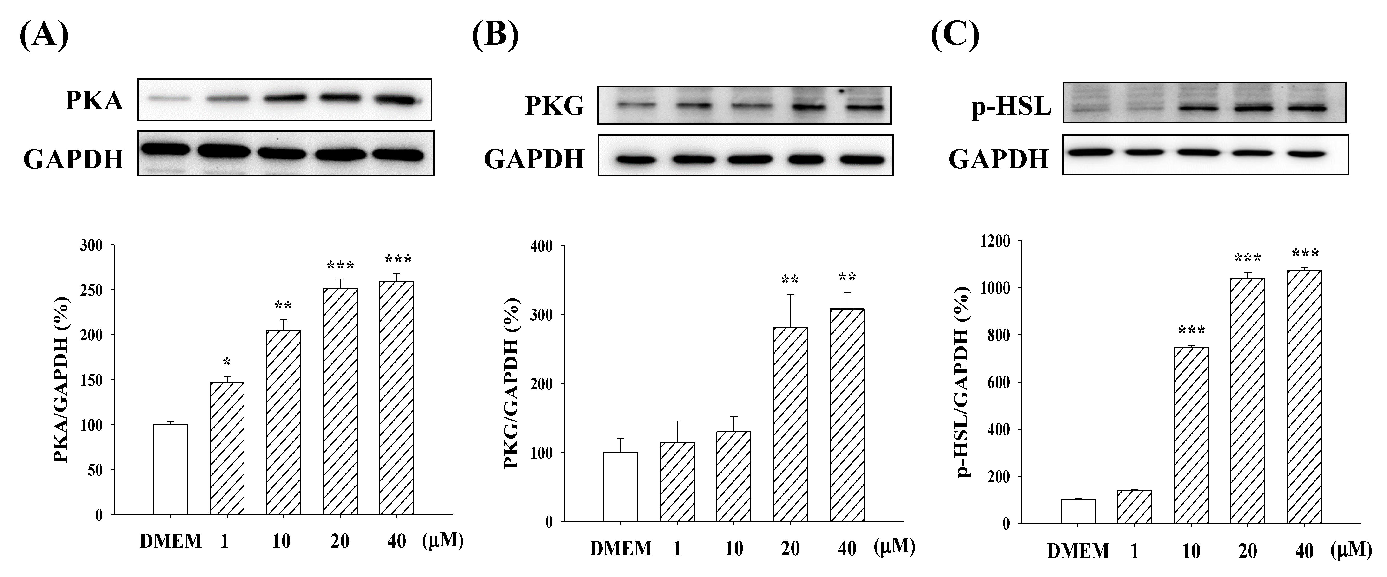 Molecules 23 02433 g007