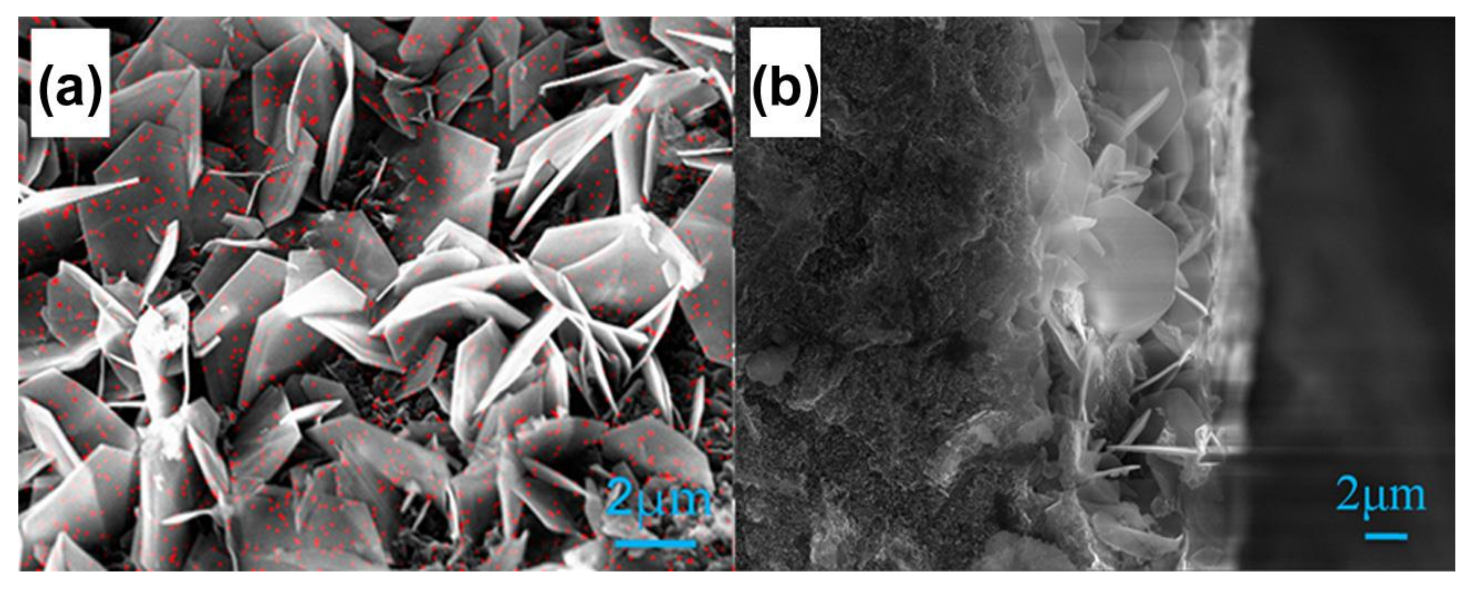 Molecules 23 02442 g013 Molecules 23 02442 g013