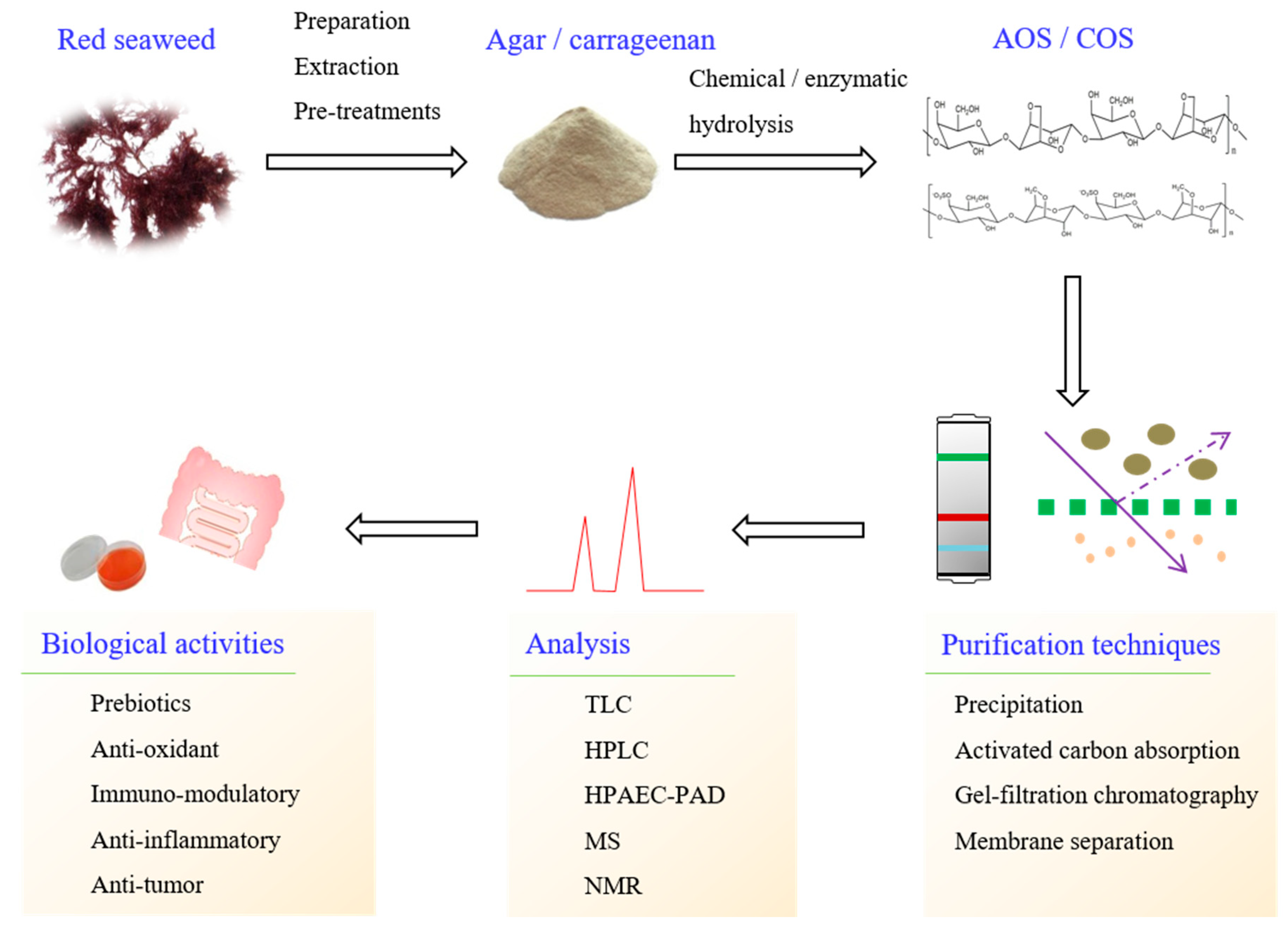 Molecules 23 02451 g002