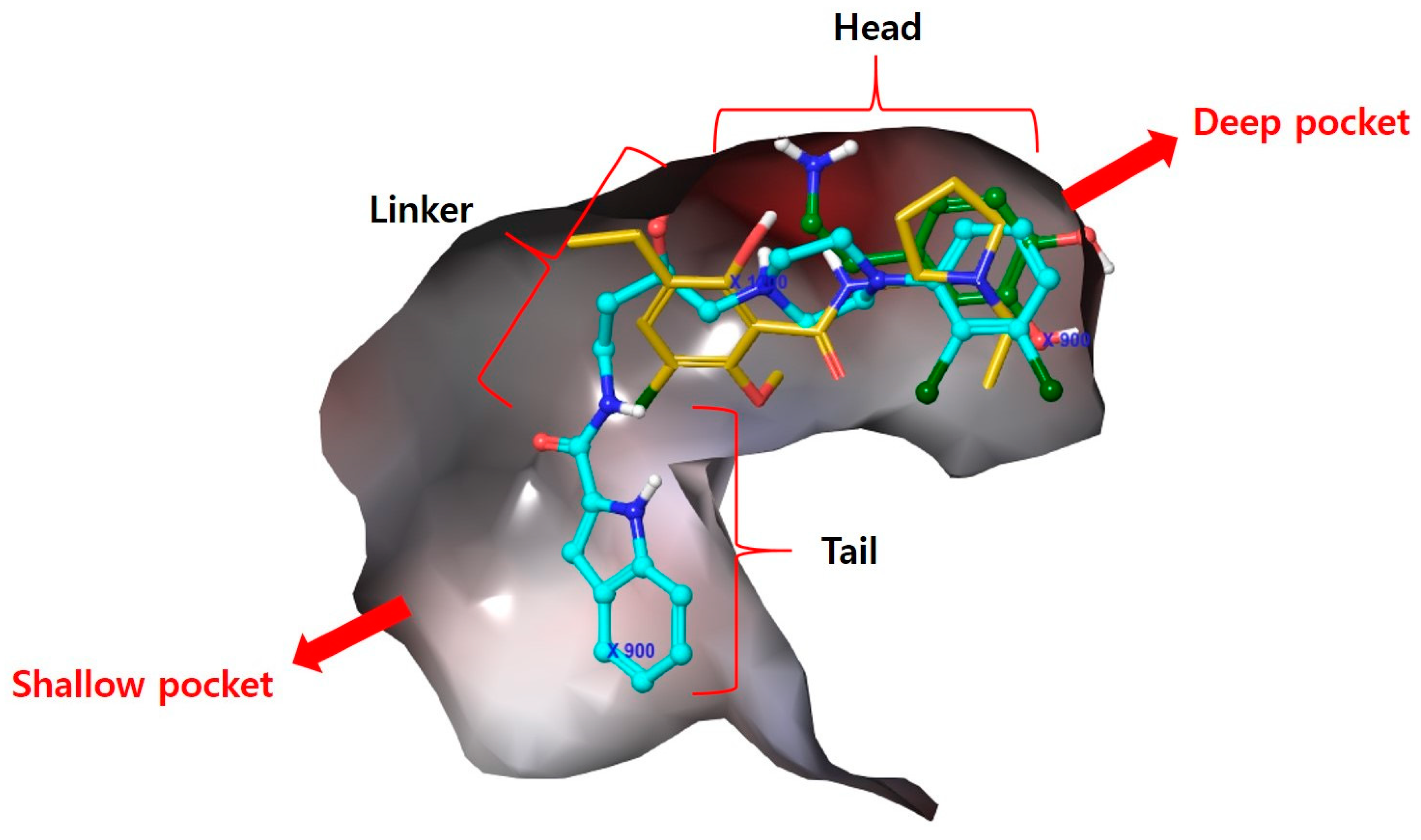 Molecules 23 02452 g001
