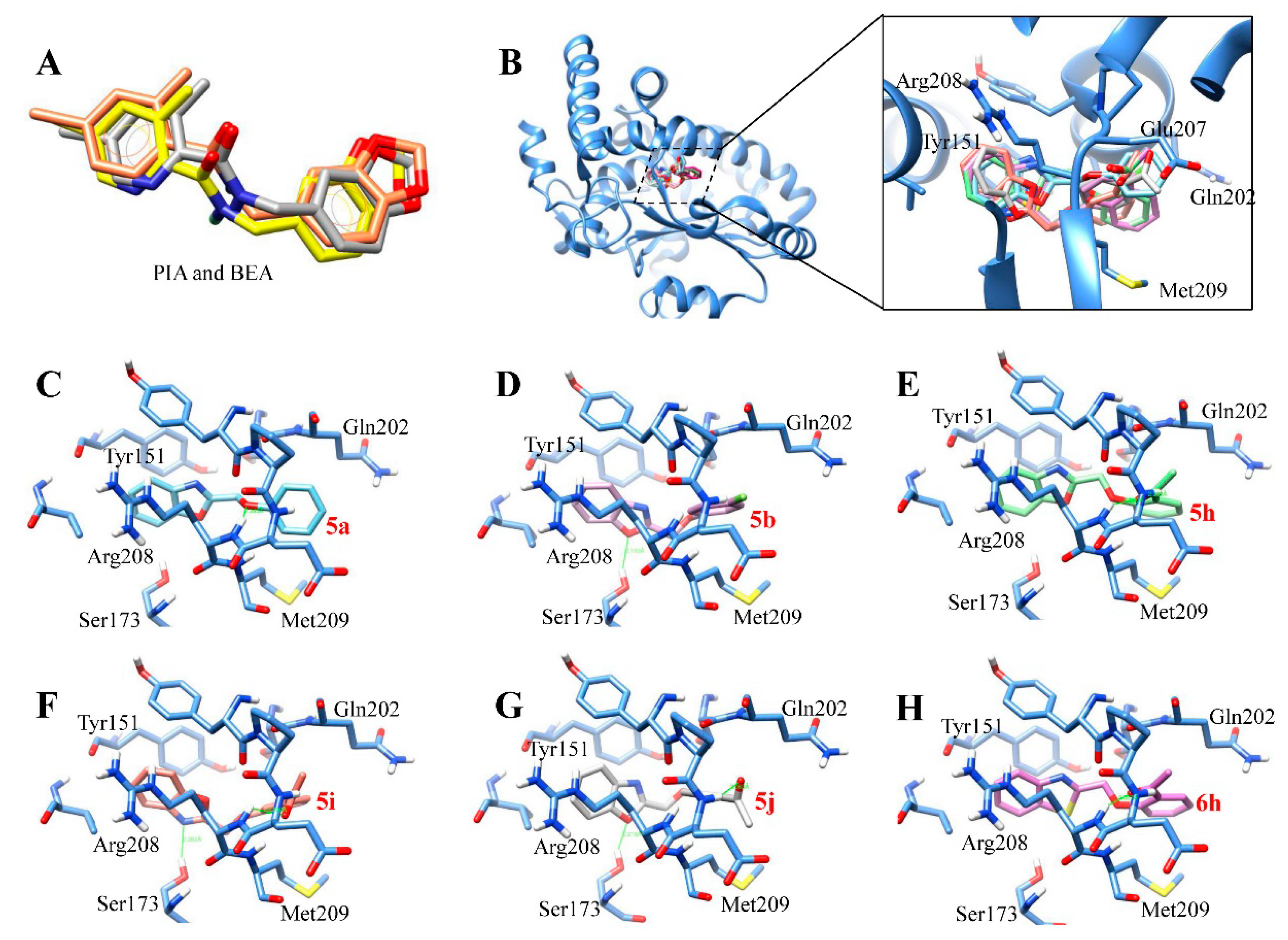 Molecules 23 02457 g004 Molecules 23 02457 g004