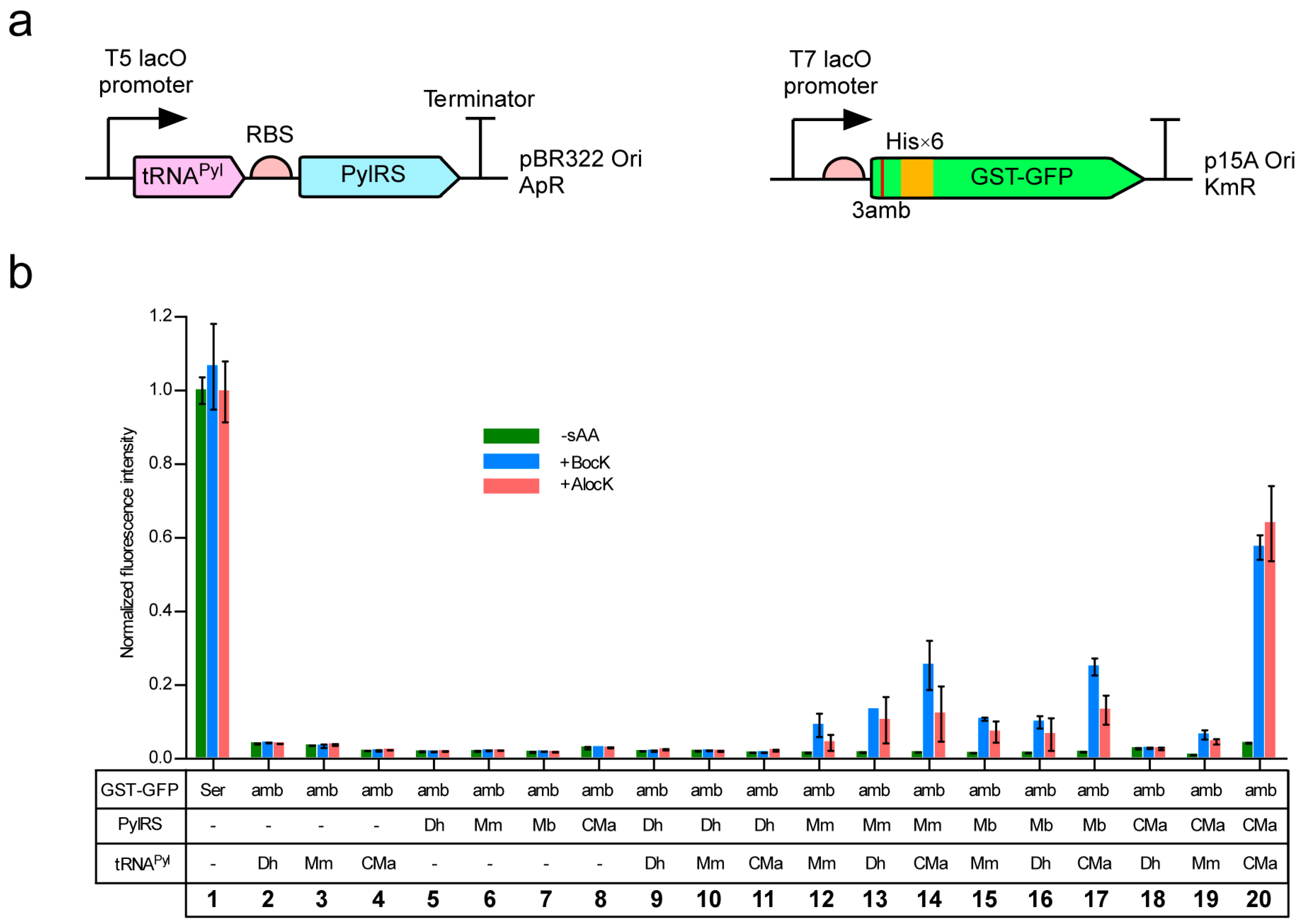 Molecules 23 02460 g001