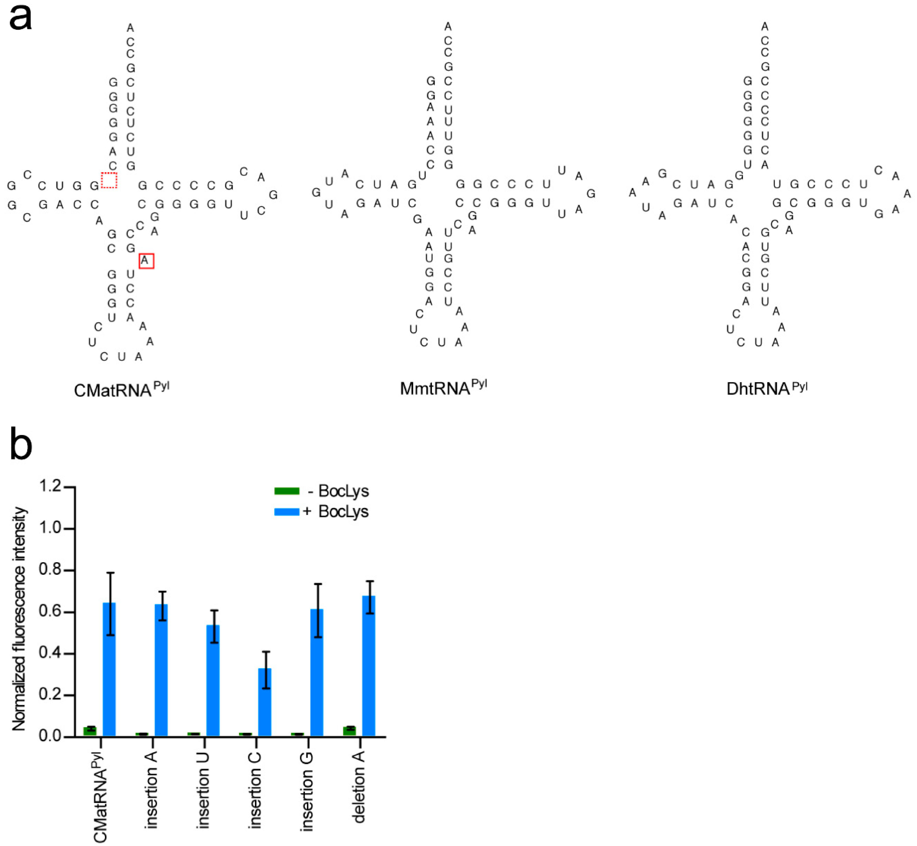 Molecules 23 02460 g004
