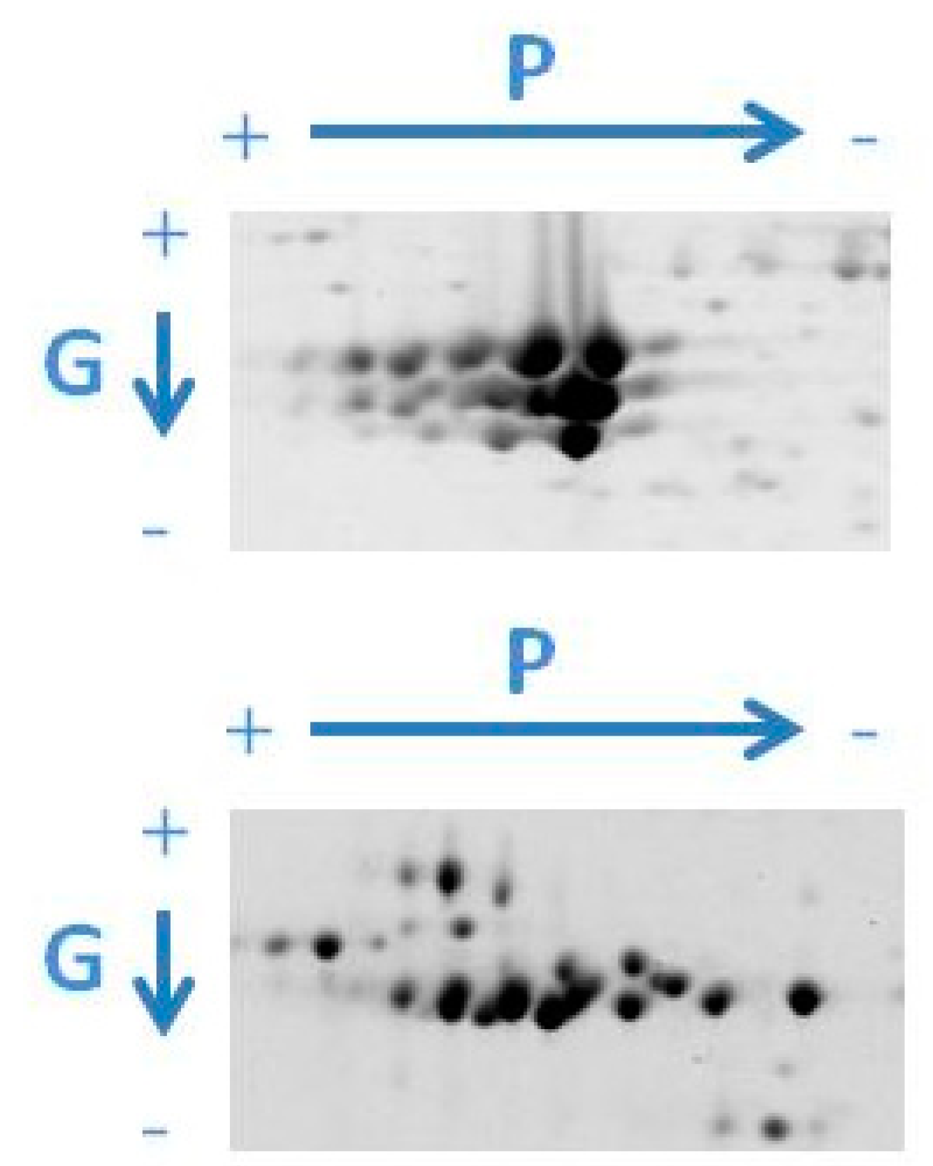 Molecules 23 02462 g003 Molecules 23 02462 g003