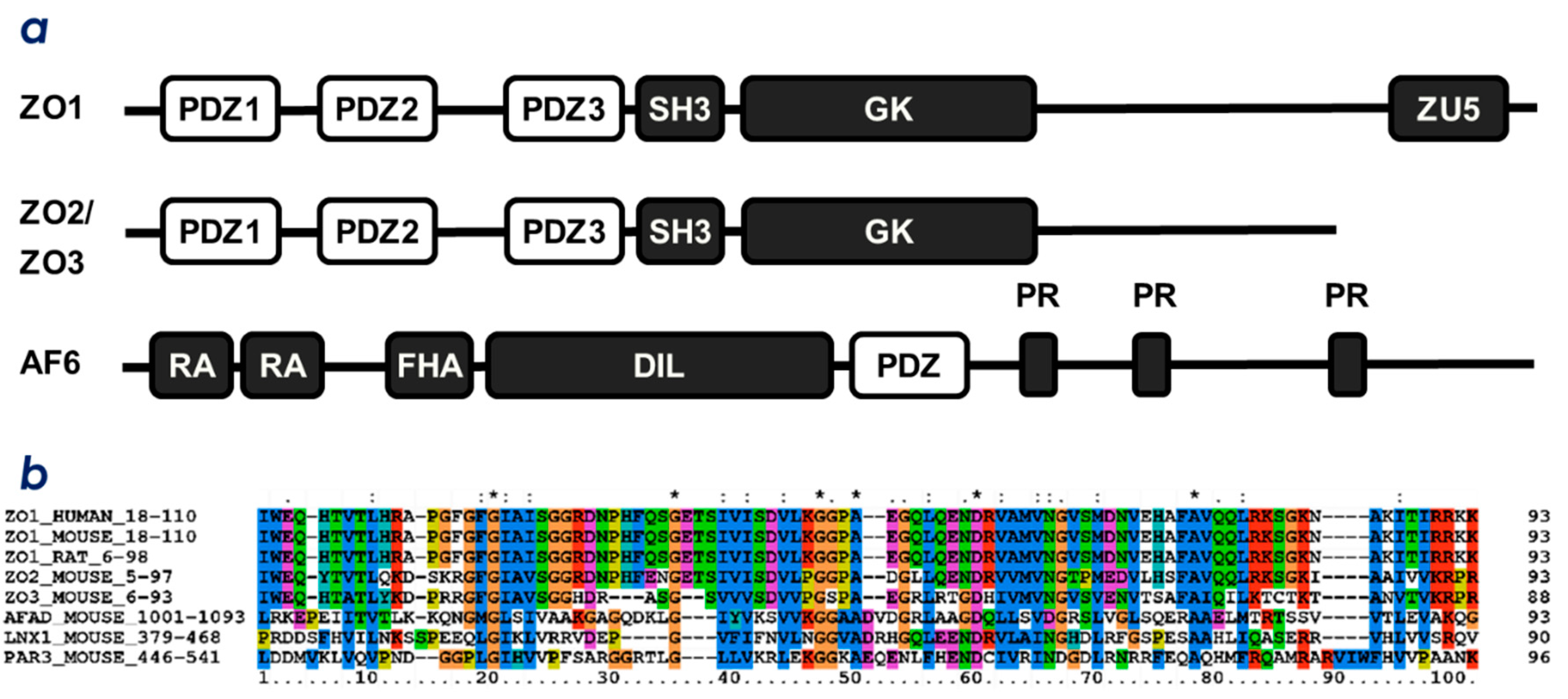 Molecules 23 02465 g001