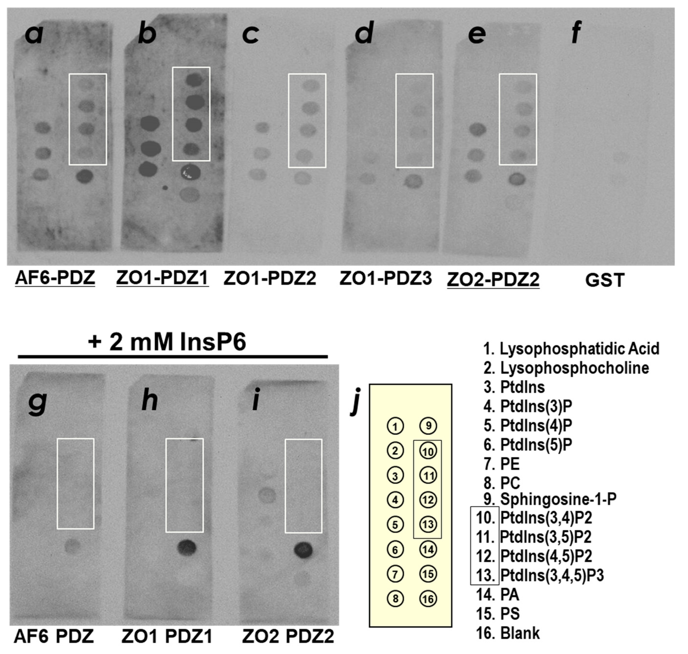Molecules 23 02465 g002
