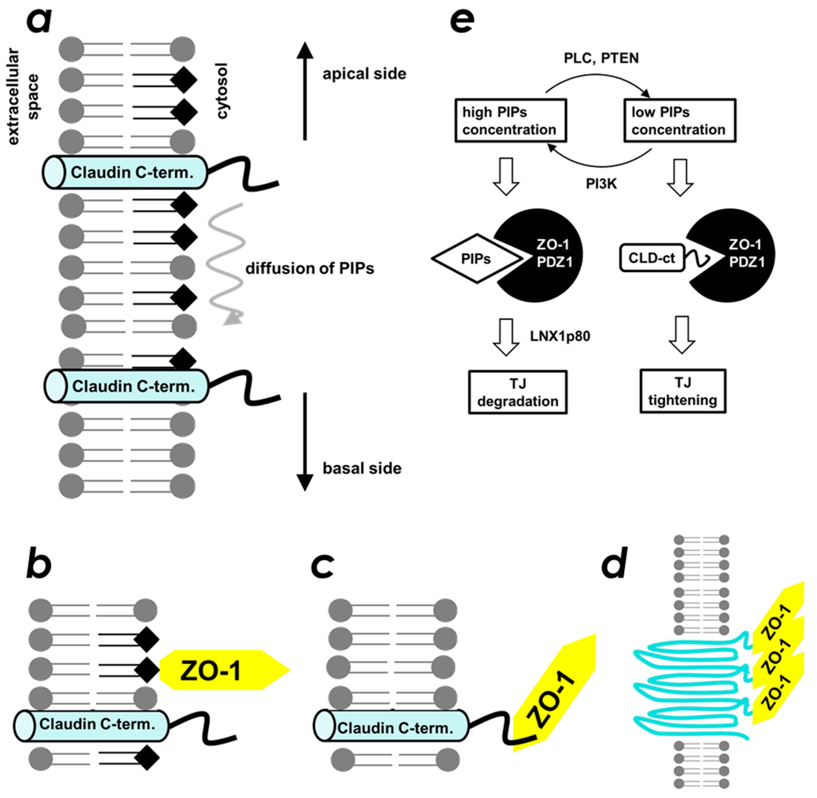 Molecules 23 02465 g007