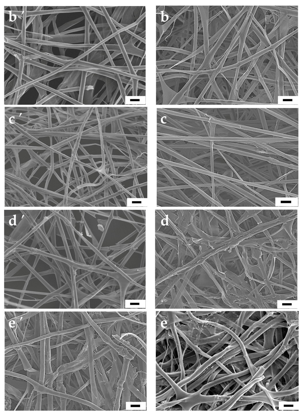 Molecules 23 02473 g001b Molecules 23 02473 g001b