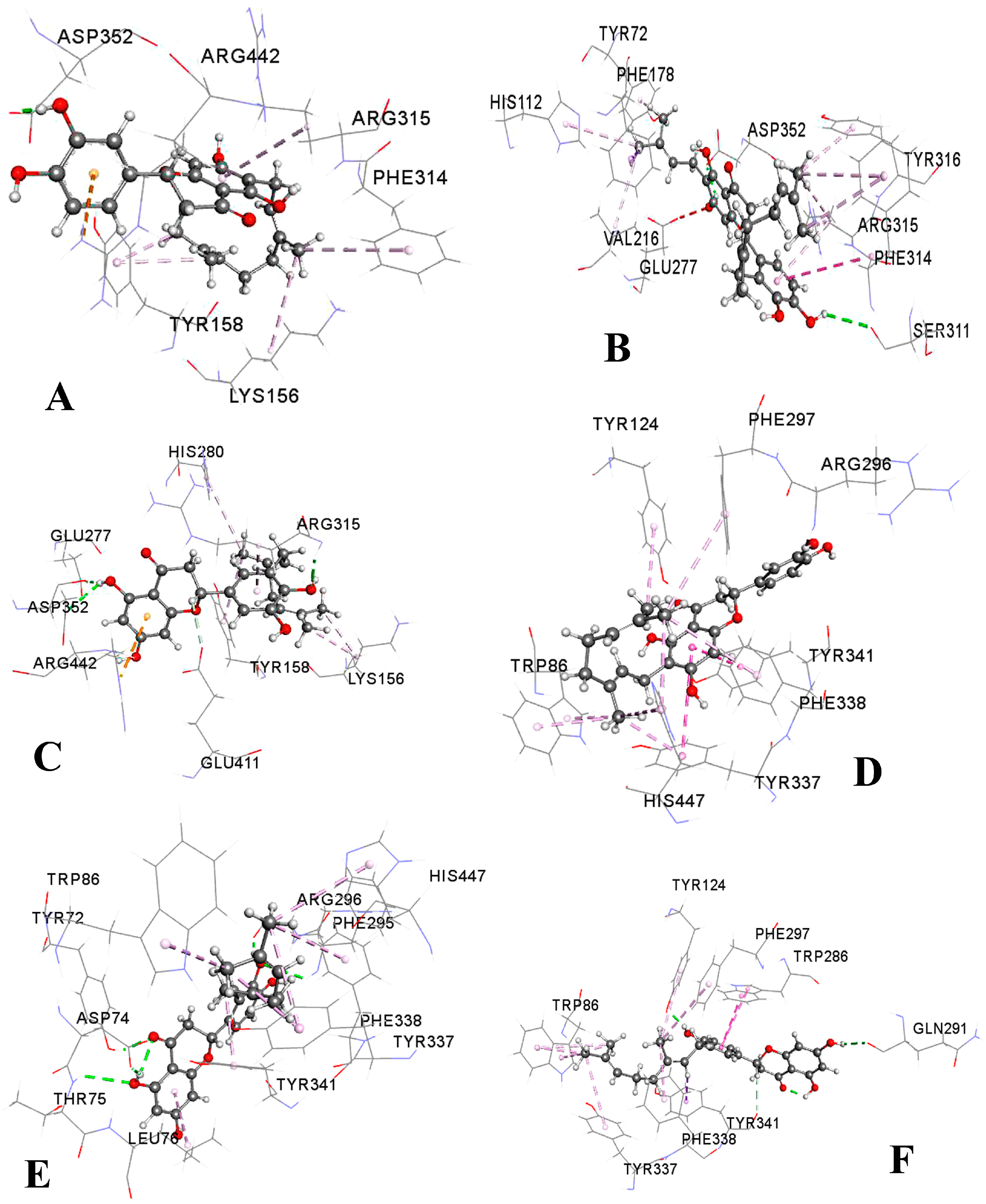 Molecules 23 02479 g006