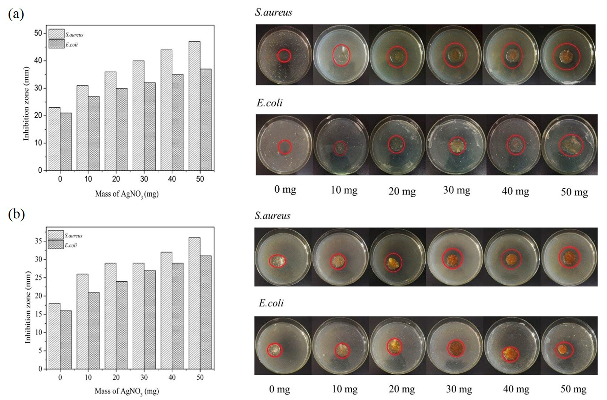 Molecules 23 02483 g009