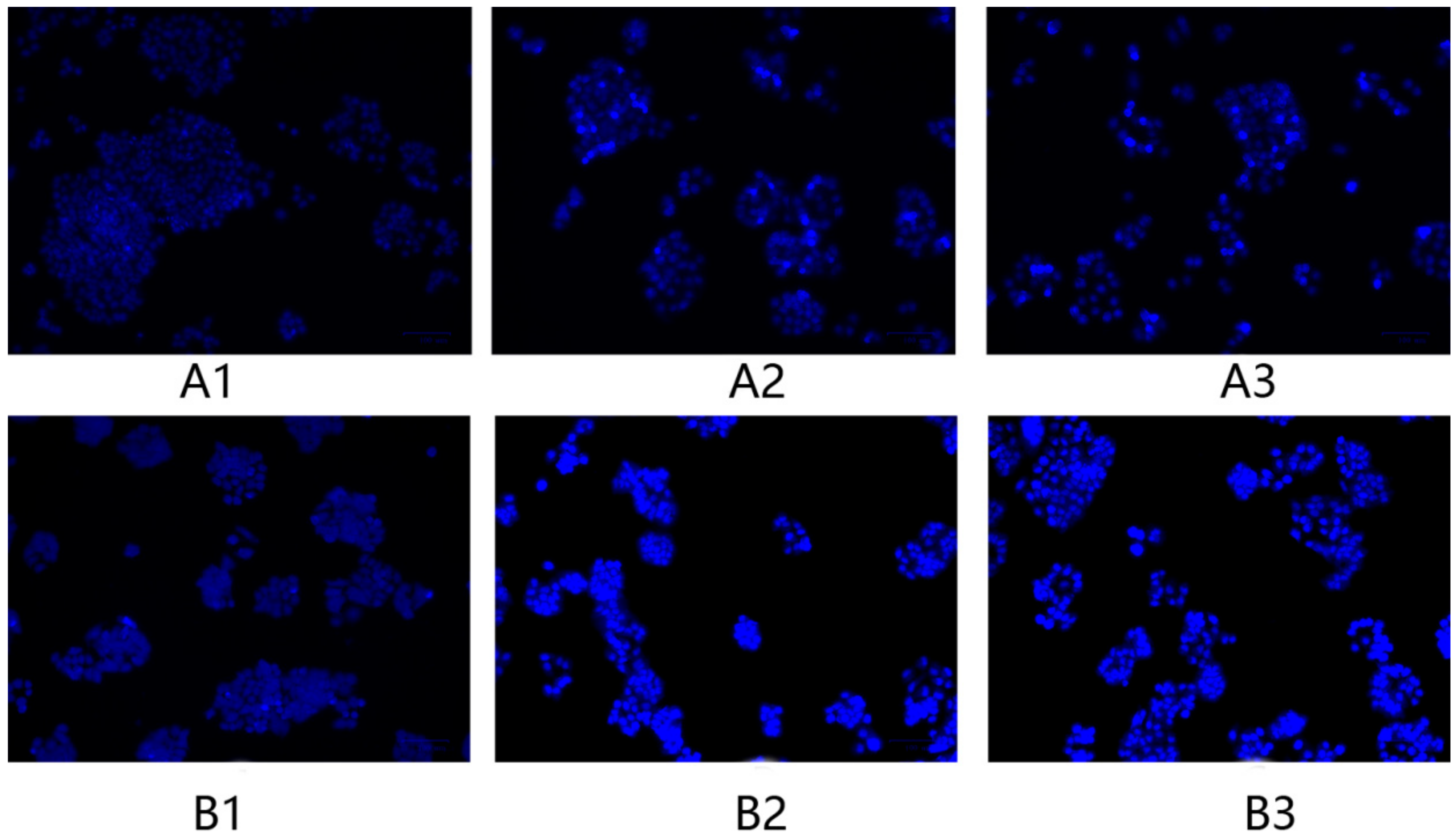Molecules 23 02484 g009 550