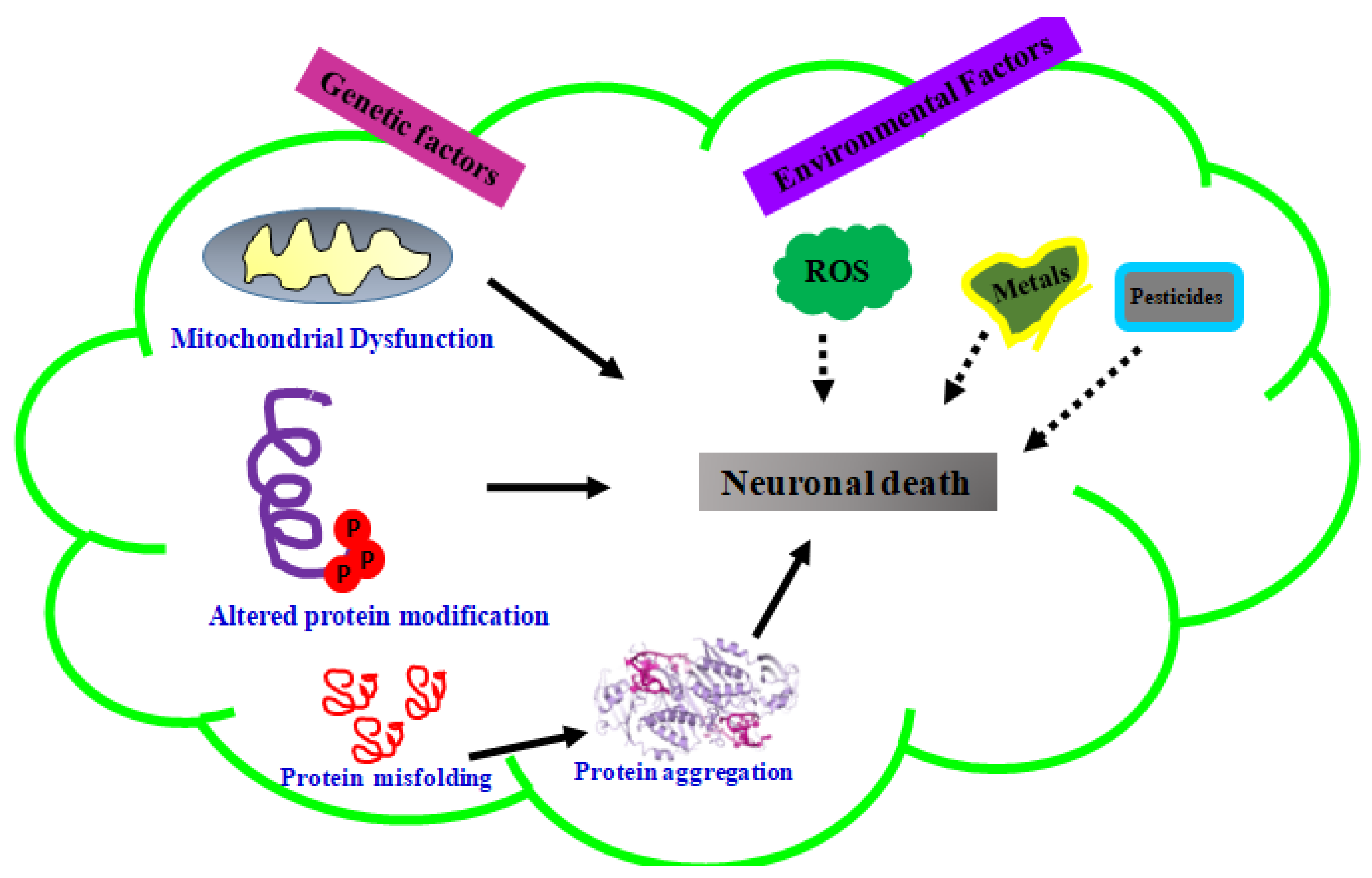 Molecules 23 02485 g001 Molecules 23 02485 g001