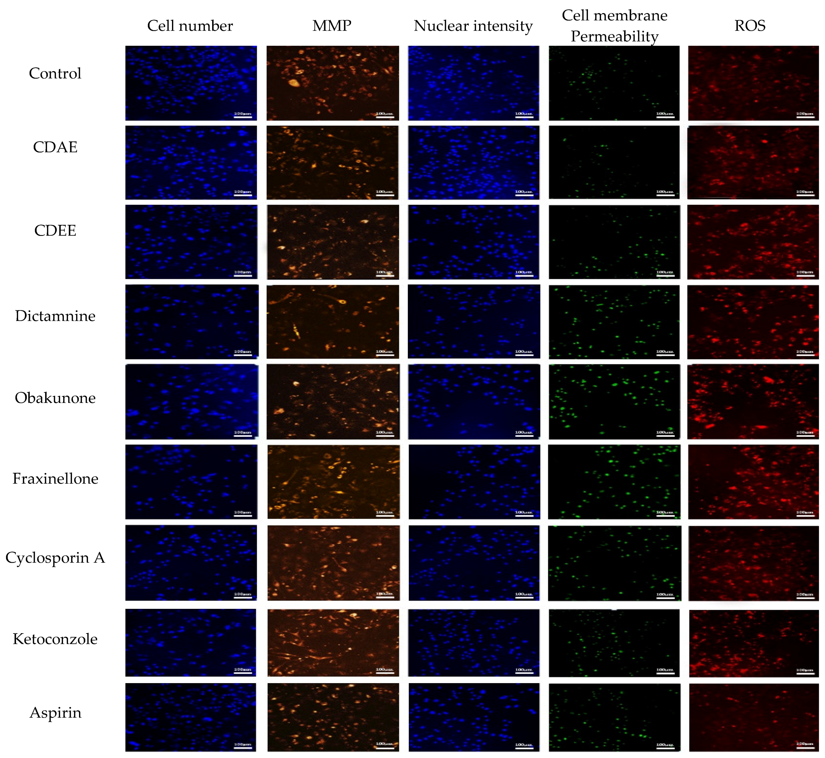 Molecules 23 02486 g005 Molecules 23 02486 g005