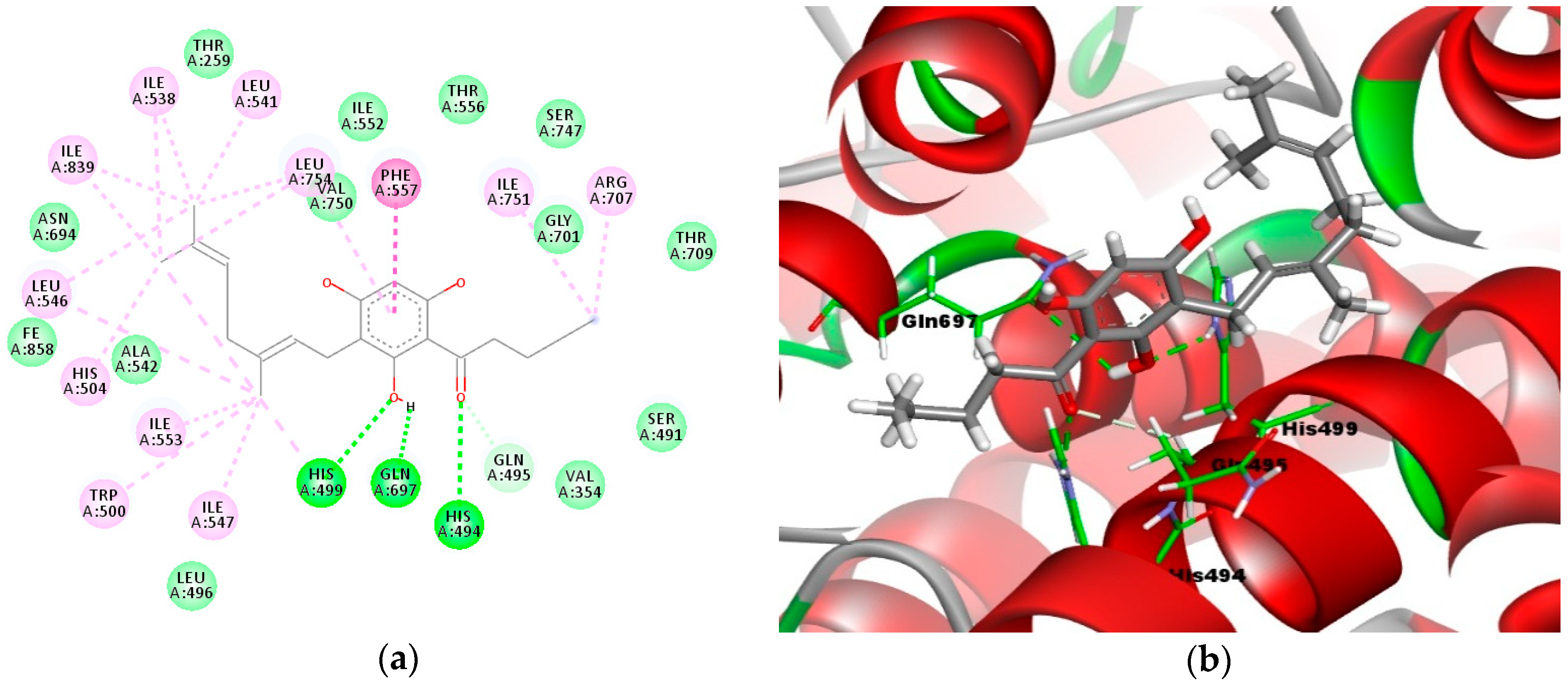 Molecules 23 02509 g004