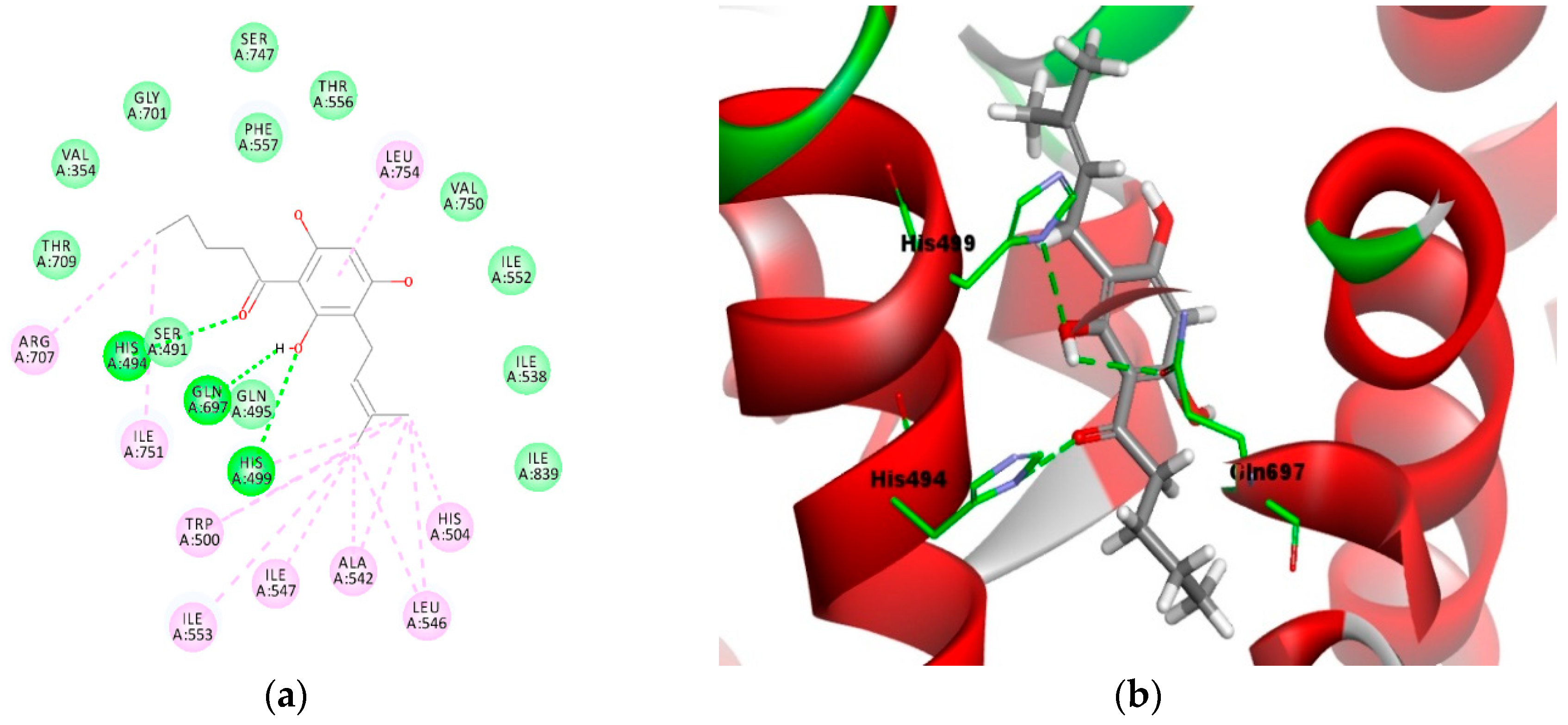 Molecules Free Full Text Hits To Lead Optimization Of The Natural Compound 2 4 6 Trihydroxy 3 Geranyl Acetophenone Thga As A Potent Lox Inhibitor Synthesis Structure Activity Relationship Sar Study And Computational Assignment Html