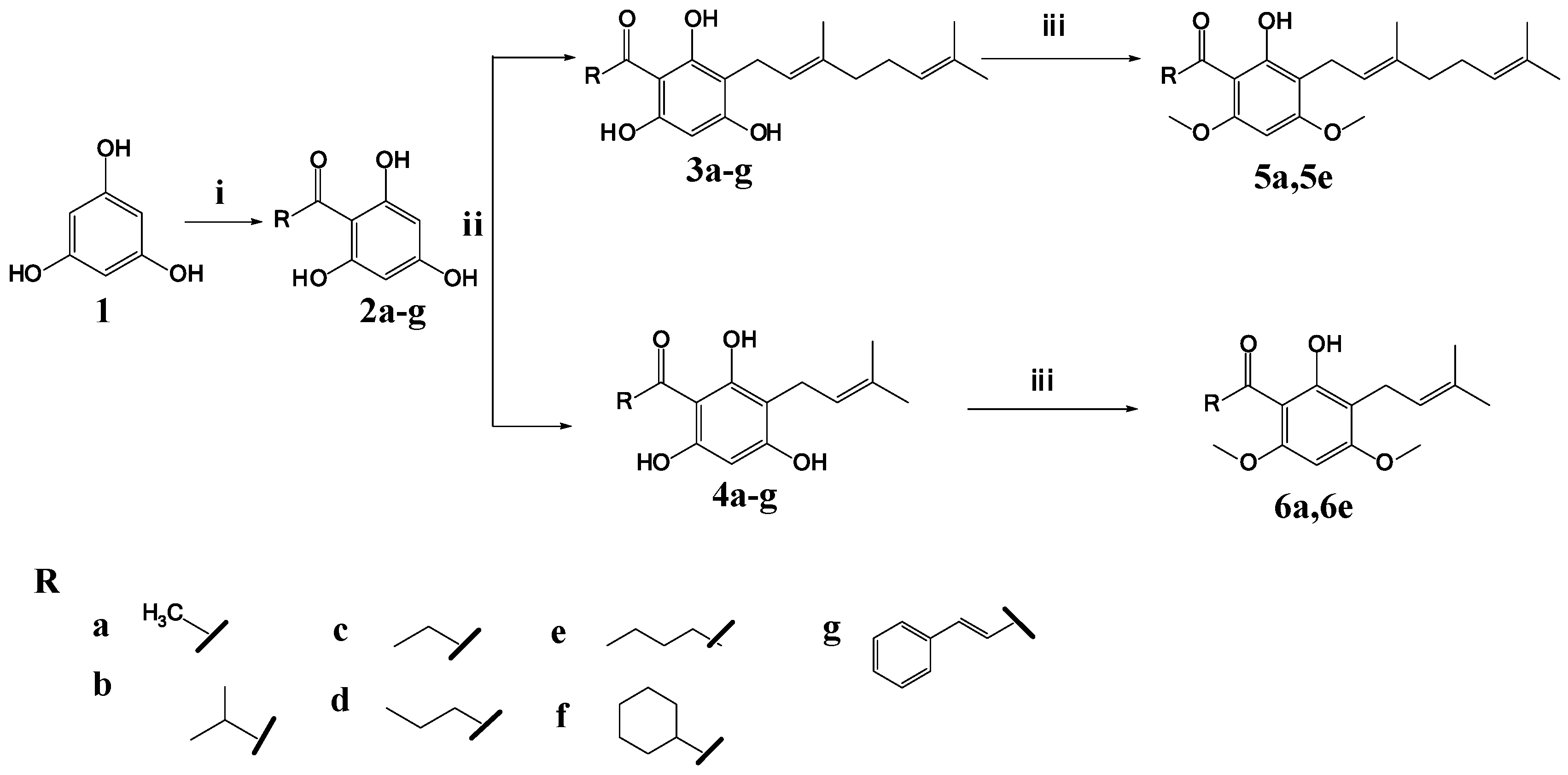 Molecules Free Full Text Hits To Lead Optimization Of The Natural Compound 2 4 6 Trihydroxy 3 Geranyl Acetophenone Thga As A Potent Lox Inhibitor Synthesis Structure Activity Relationship Sar Study And Computational Assignment Html