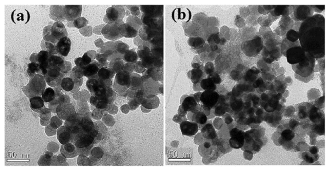 Molecules 23 02532 g002 550
