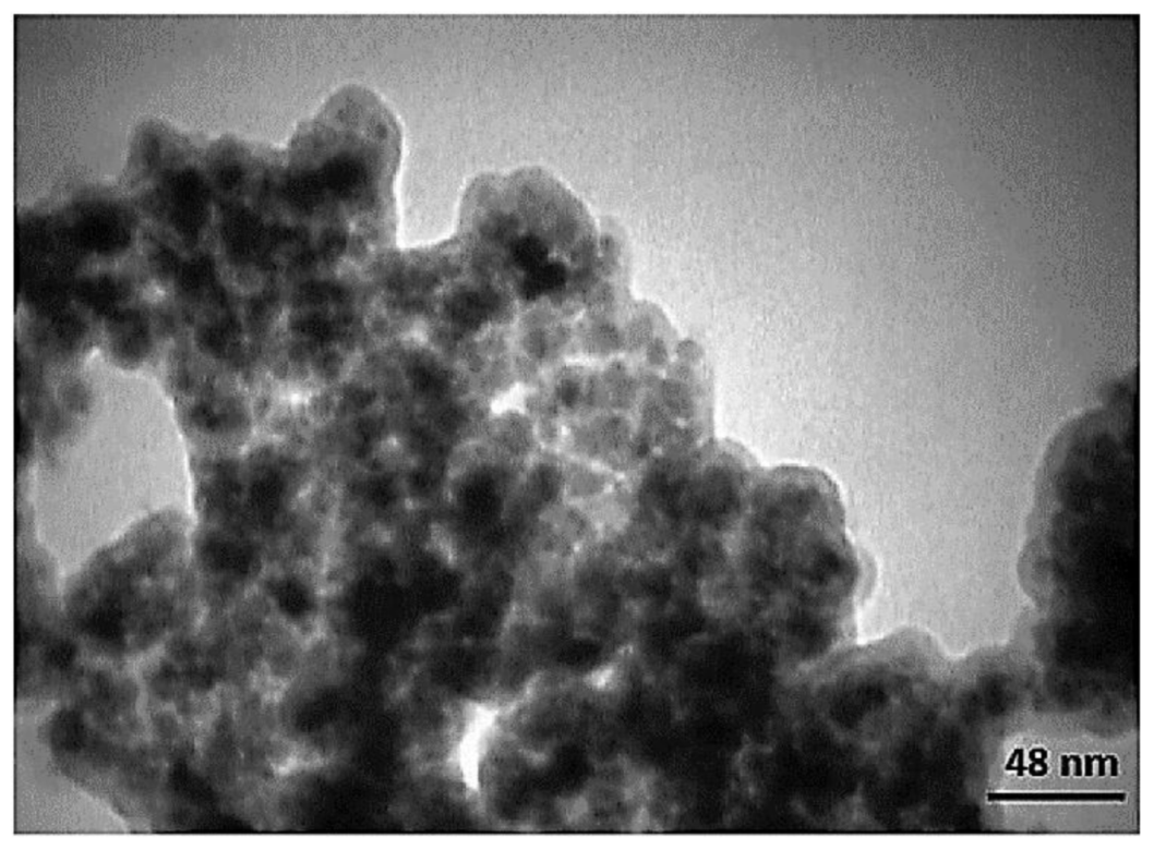 Molecules 23 02532 g006 550
