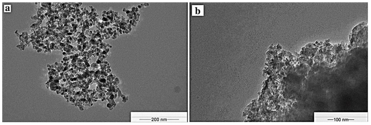 Molecules 23 02532 g007 550