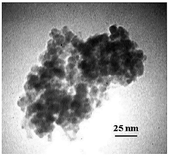 Molecules 23 02532 g012 550