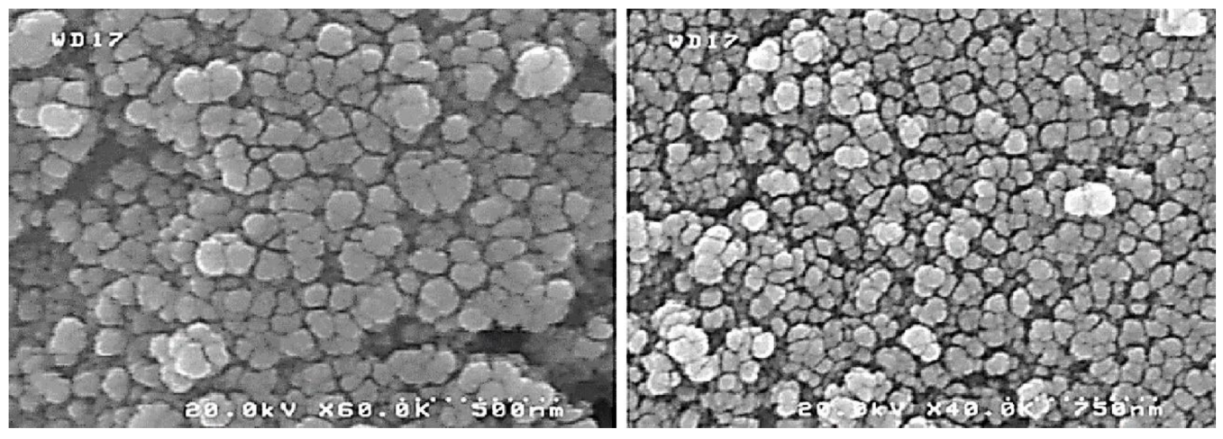 Molecules 23 02532 g013a 550