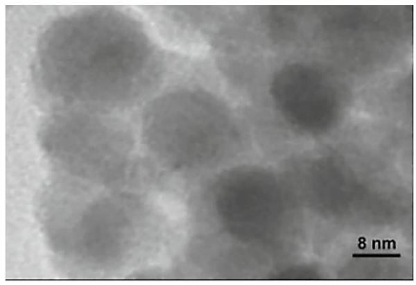 Molecules 23 02532 g013b 550