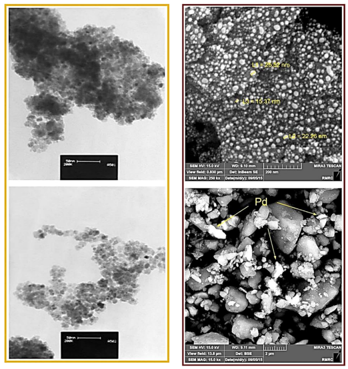 Molecules 23 02532 g016 550