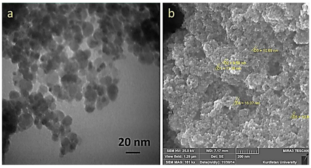 Molecules 23 02532 g018 550