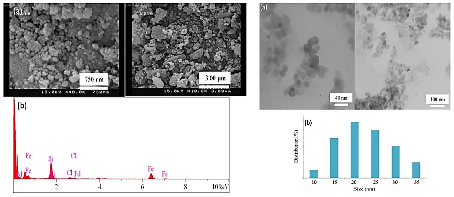 Molecules 23 02532 g022 550
