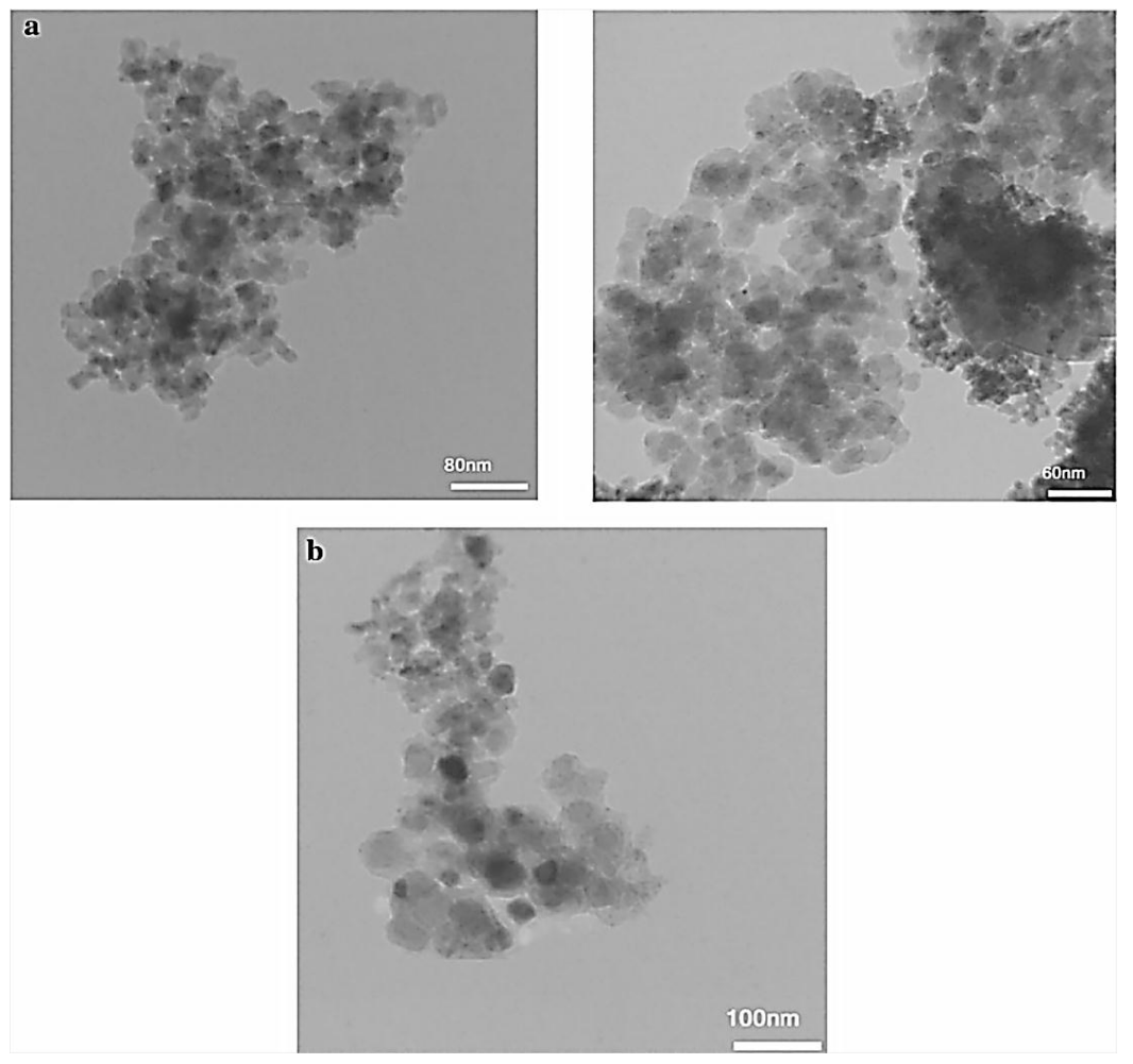 Molecules 23 02532 g024 550