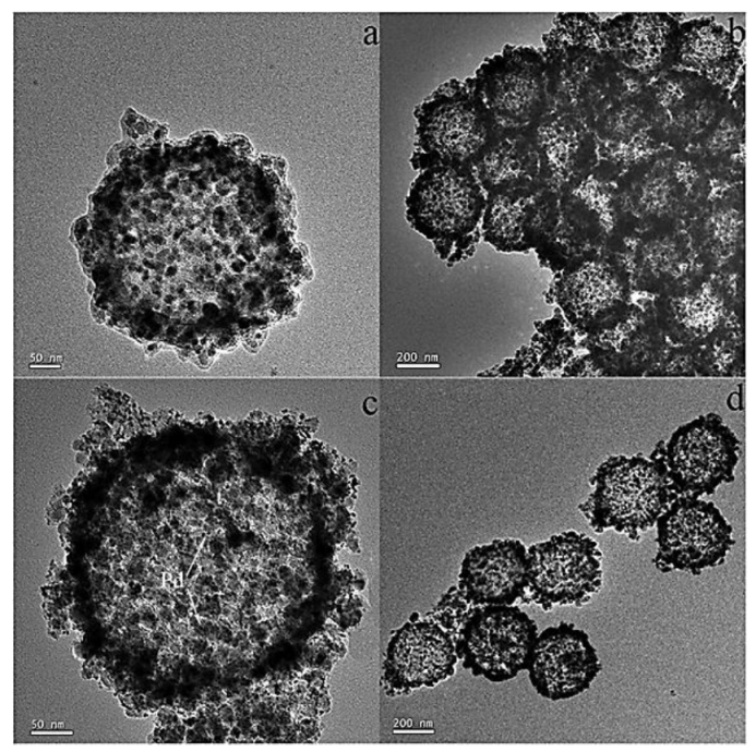 Molecules 23 02532 g025 550
