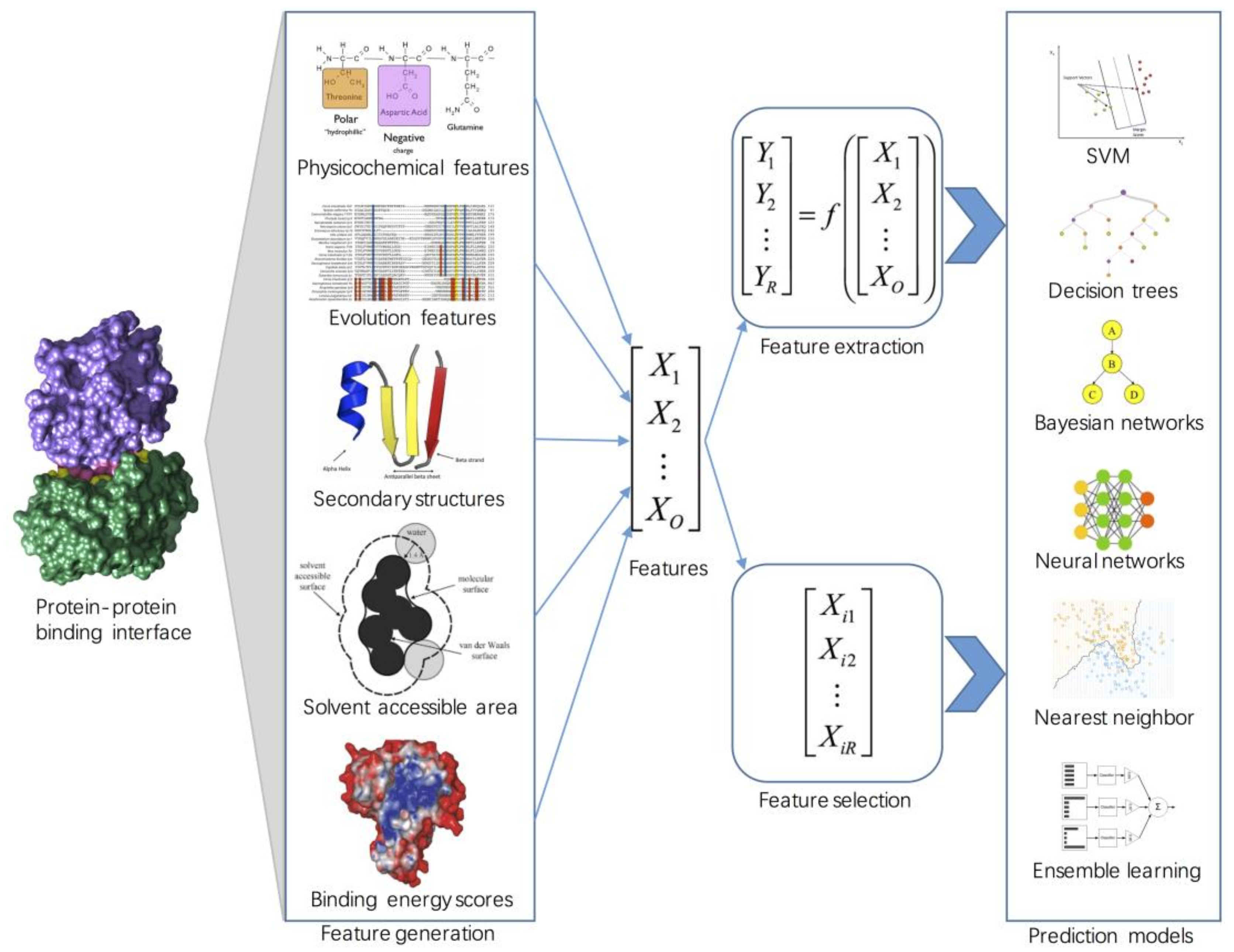 Molecules Free FullText Machine Learning Approaches for Protein