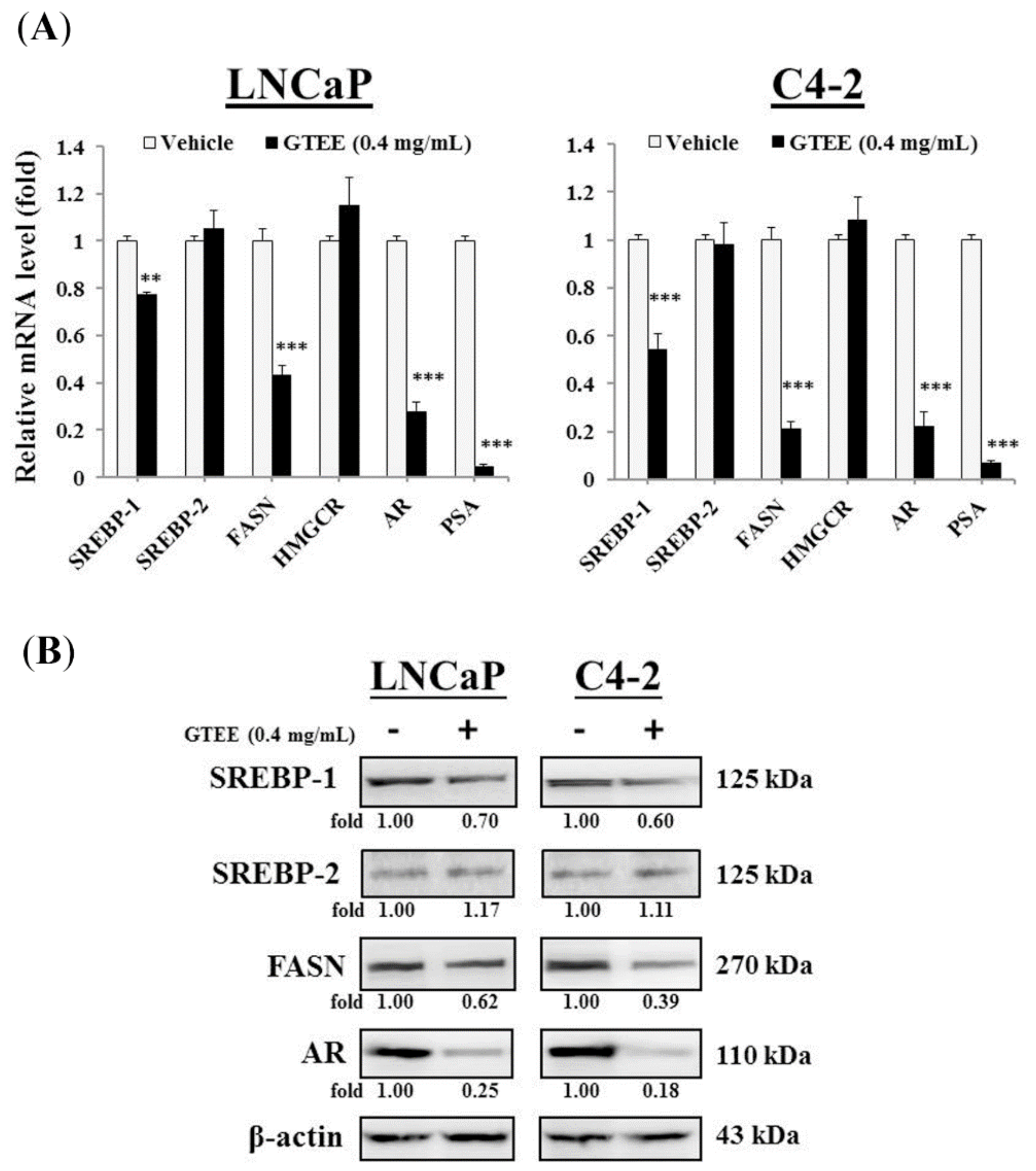 Molecules 23 02539 g001